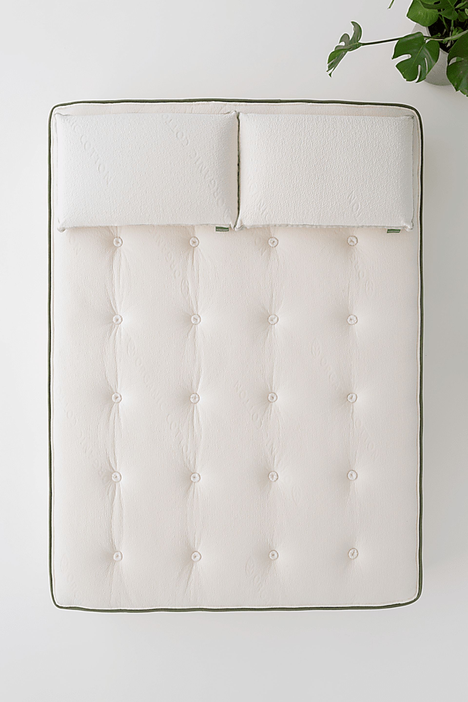 Avocado Green Tight Top Queen Mattress - Image 13