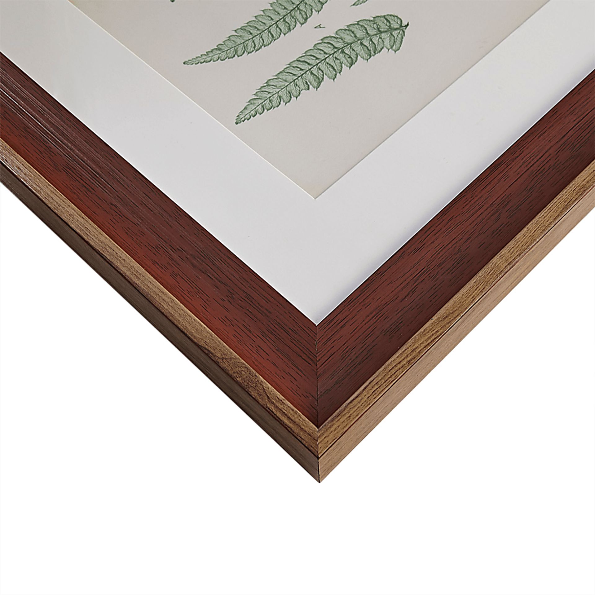 Avonoak Green Framed Graphic Wall Art Set of 3 - Image 4