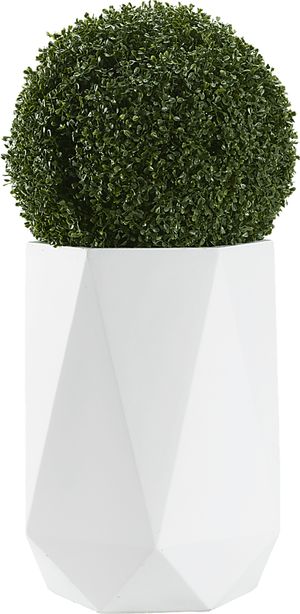 Outdoor Planters for the Patio, Garden & Lawn