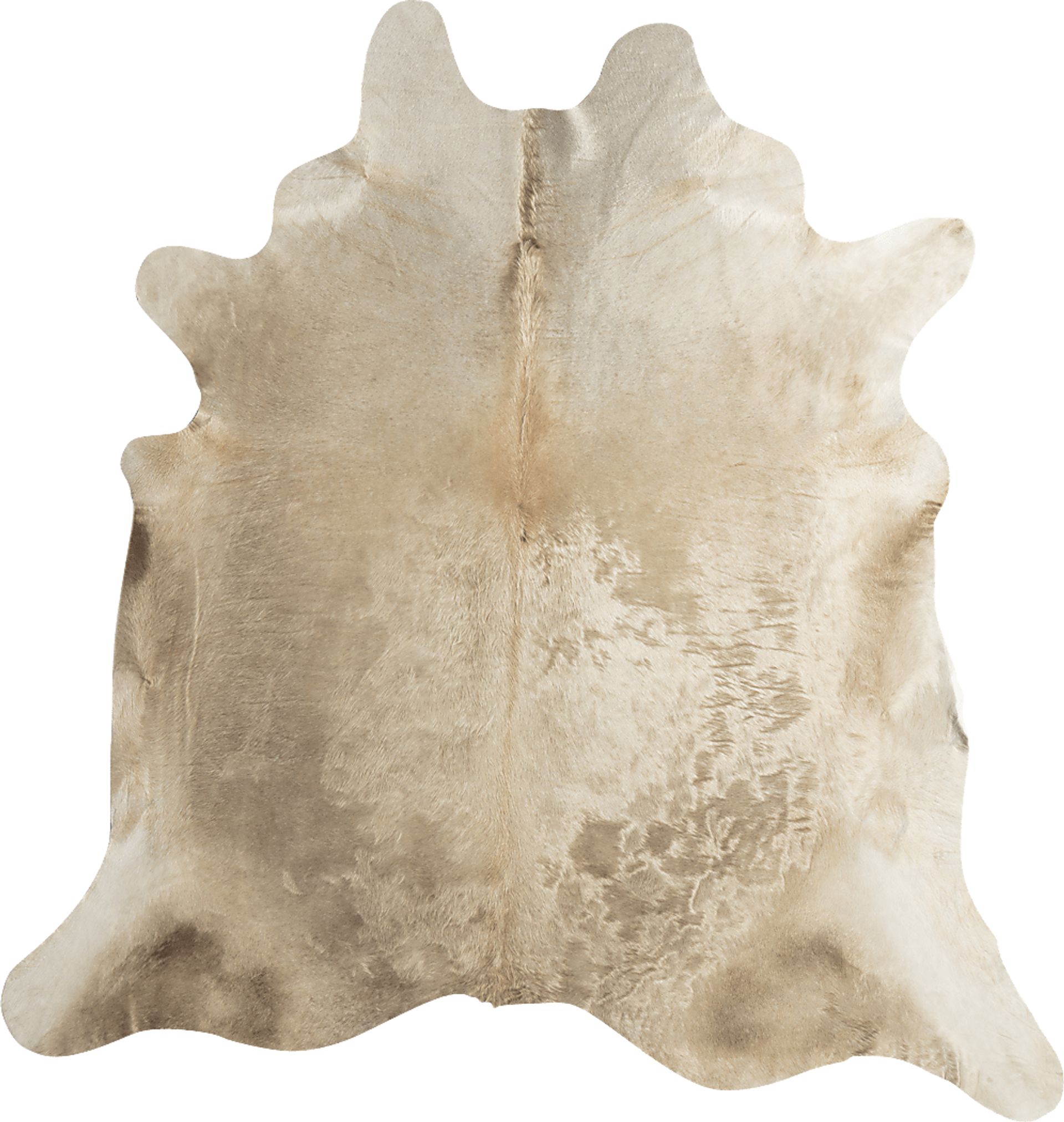 Ayrton Beige 5' x 6'6 Rug - Image 1