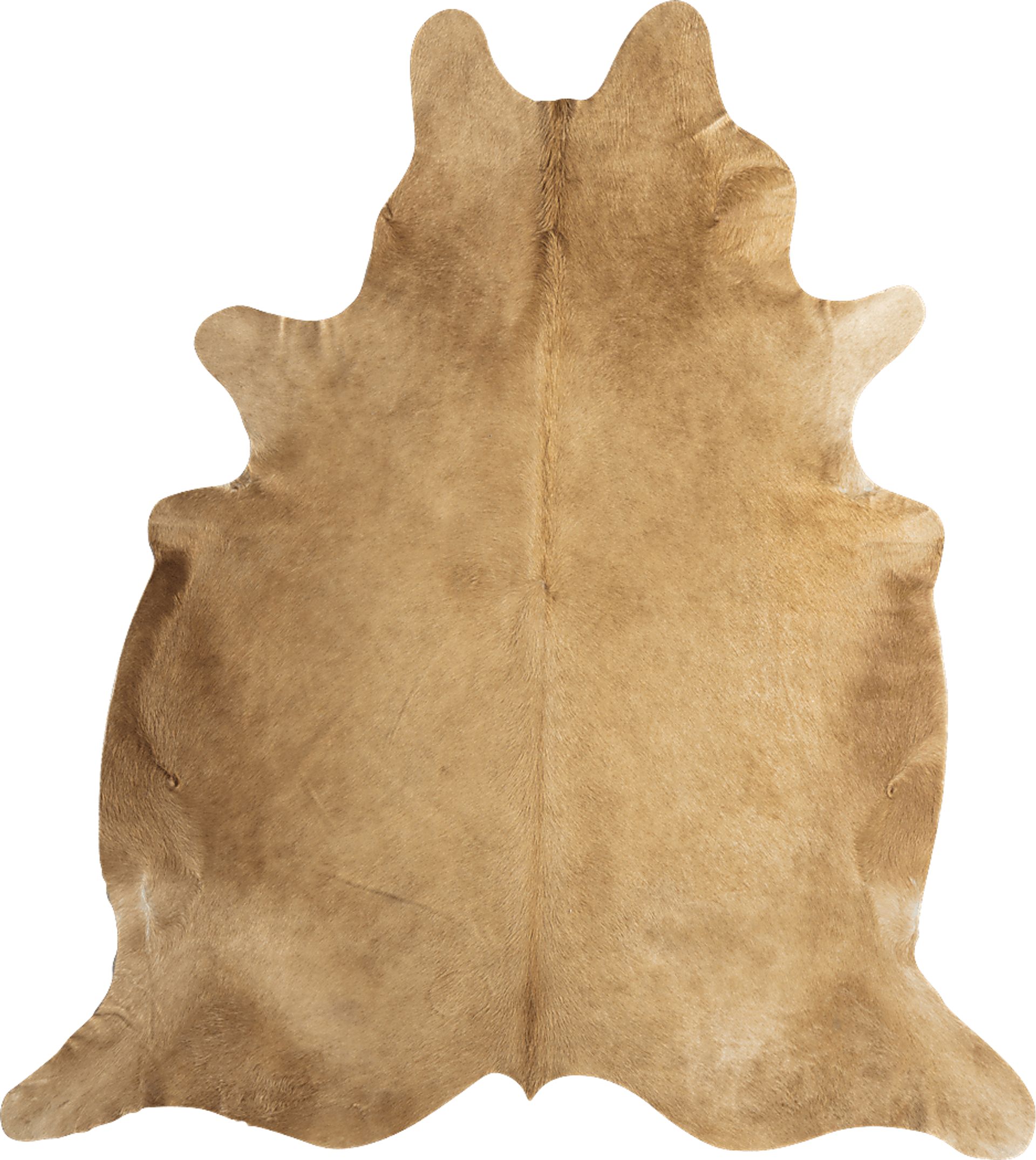Ayshe Beige 5' x 6'6 Rug - Image 1