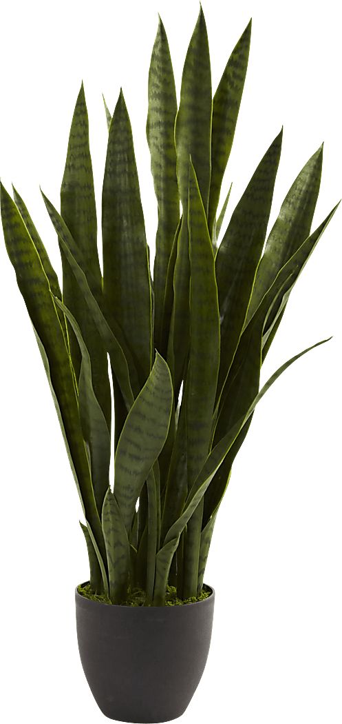 Azairah Green Sansevieria Silk Plant