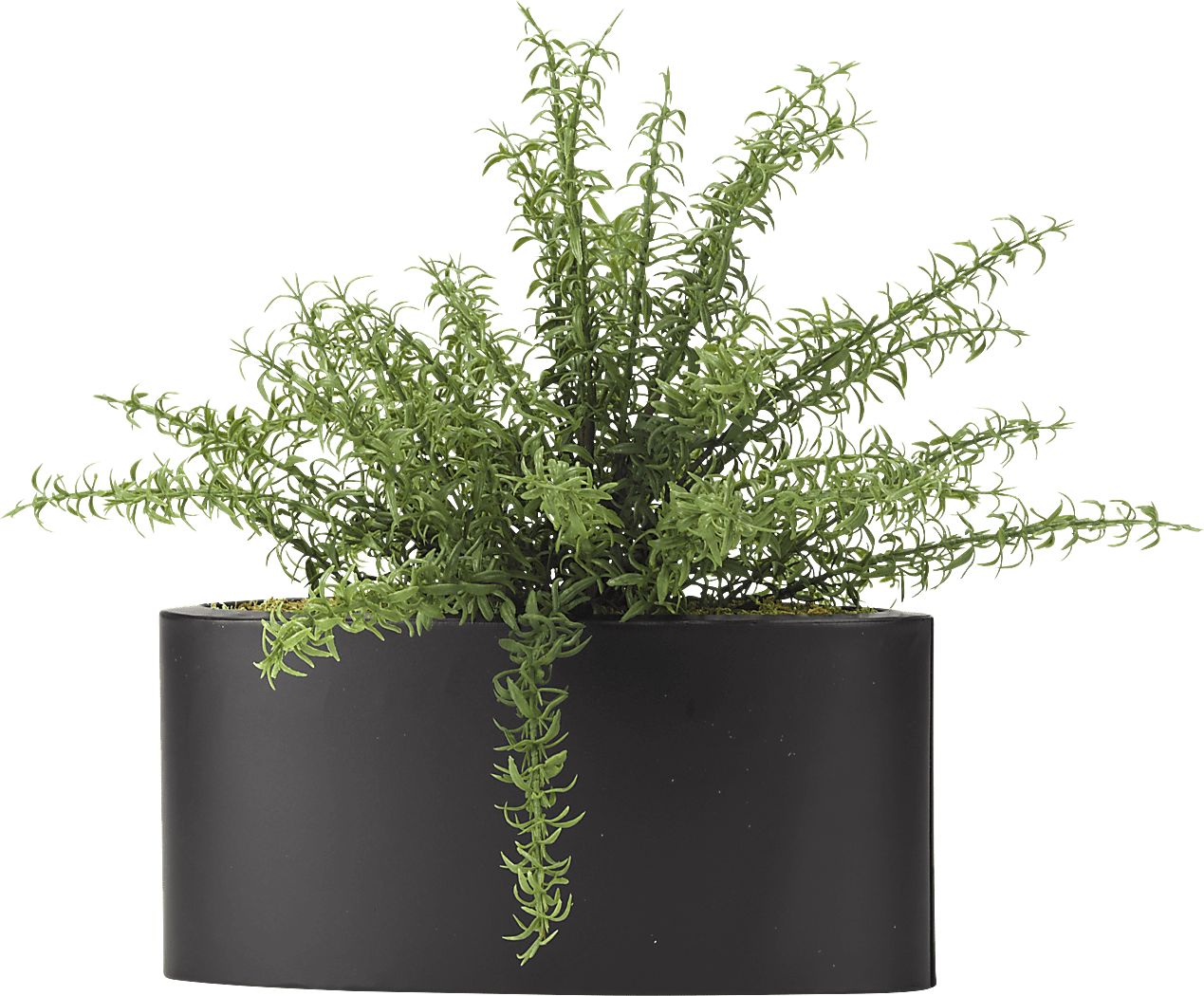 Azarie Green Rosemary Silk Plant