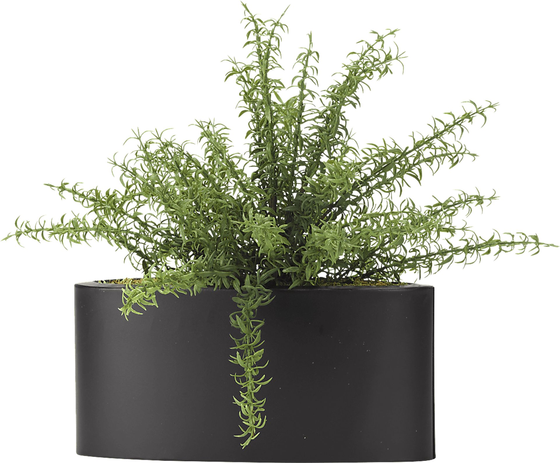 Azarie Green Rosemary Silk Plant - Image 1