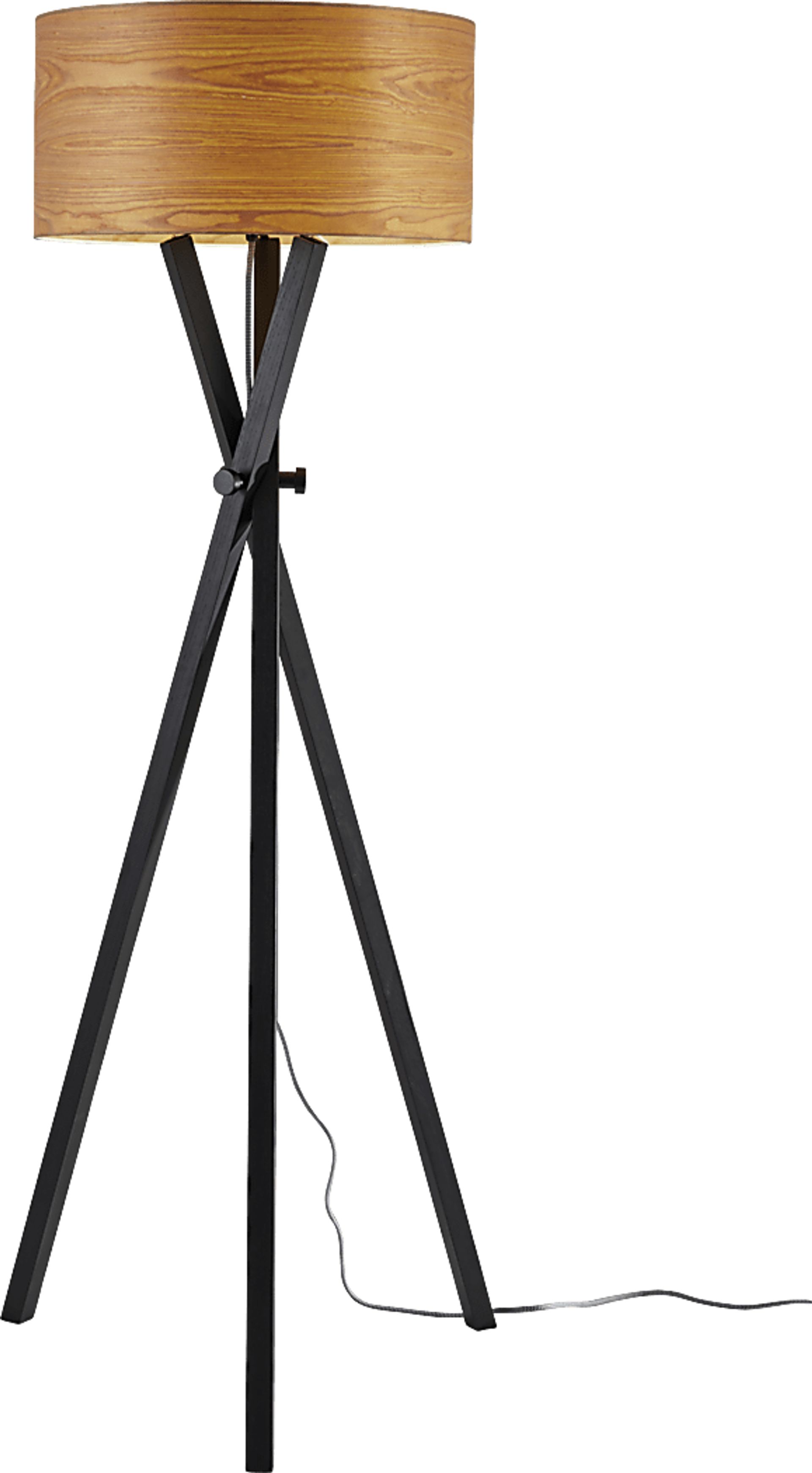 Baikel Black Floor Lamp - Image 1