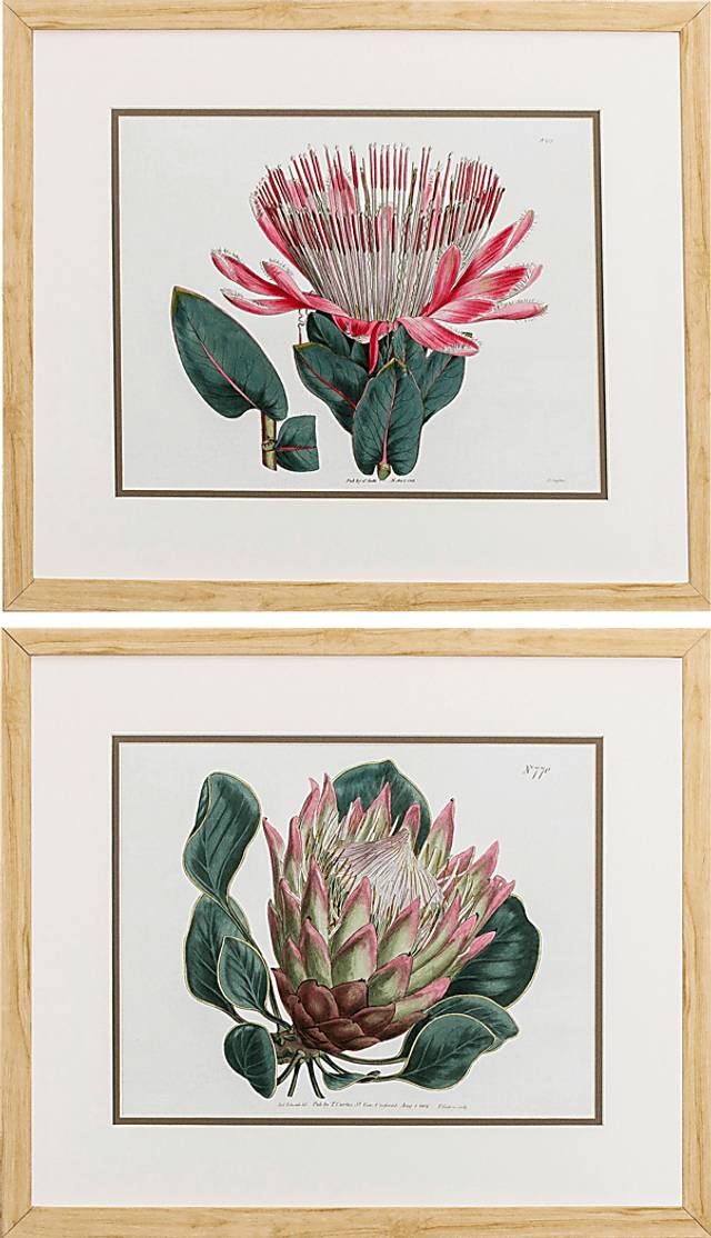 Balatta Green Wall Art Set of 2 - Thumbnail - Image 1