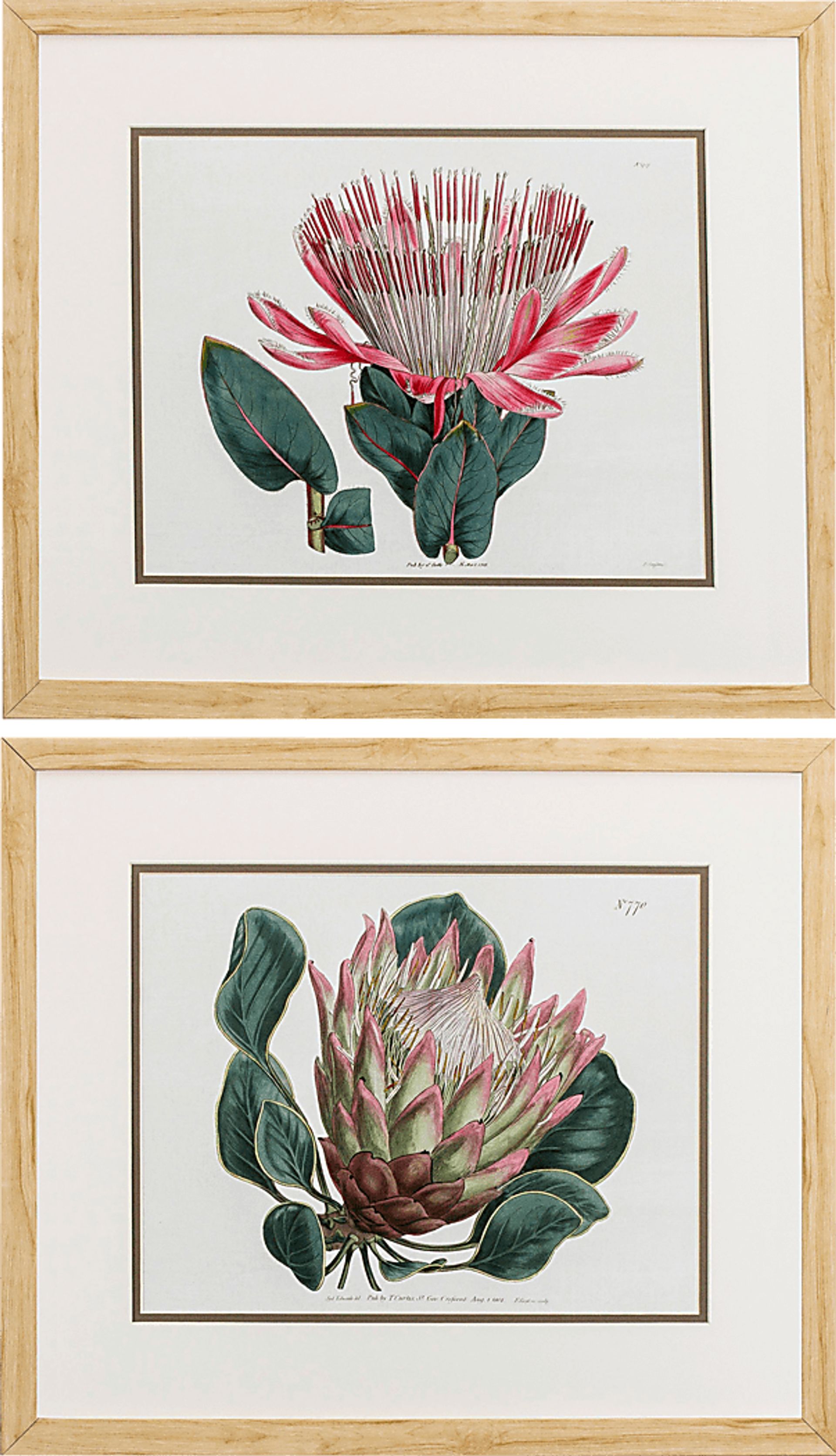 Balatta Green Wall Art Set of 2 - Image 1