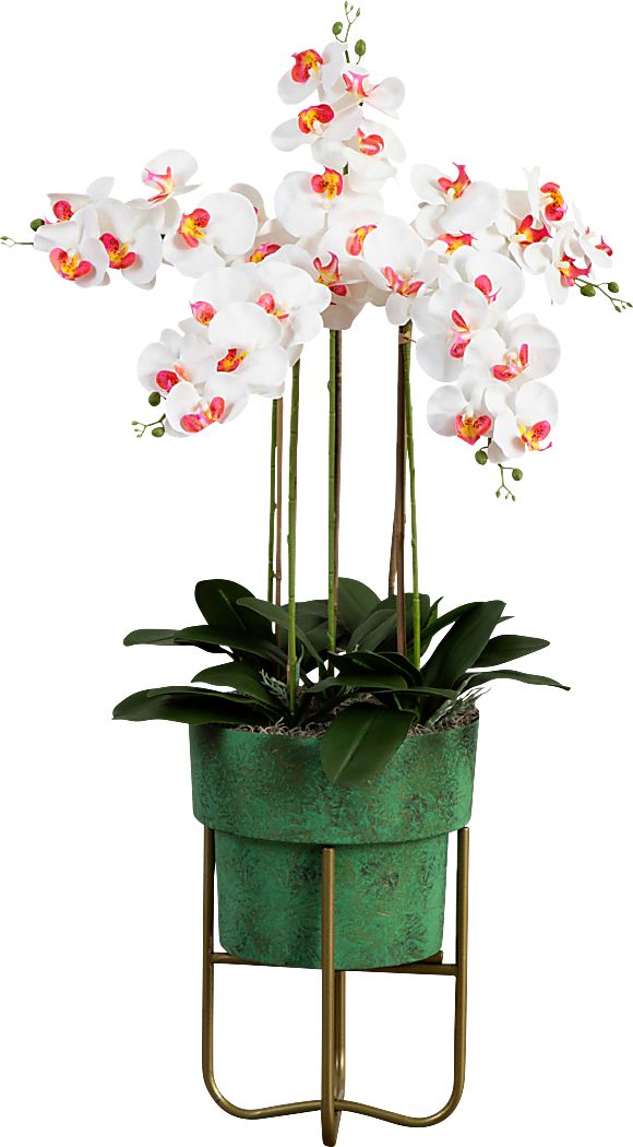 Balsinger II White Silk Floral