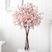 Barkentine Pink Floral Arrangement with Vase