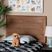 Bartholo Brown Twin Headboard