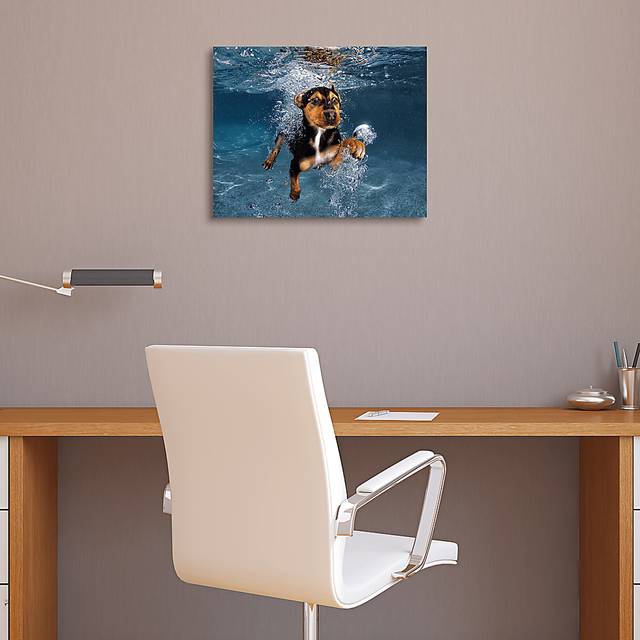 Baxter's Swim Artwork - Thumbnail - Image 3