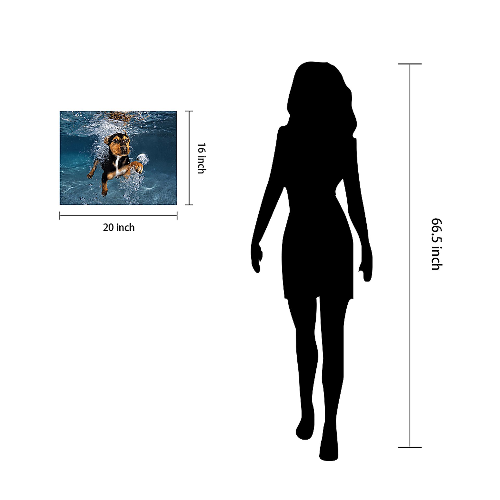 Baxter's Swim Artwork - Image 7