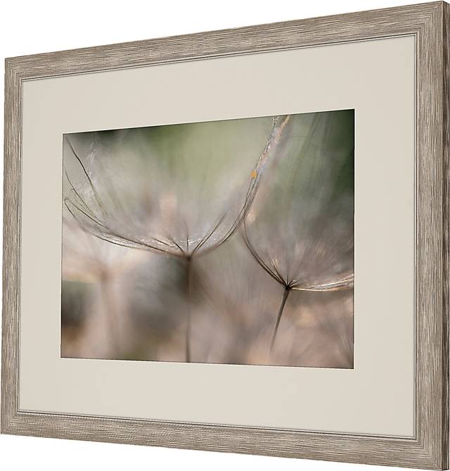Be Still White Framed Artwork - Thumbnail - Image 3