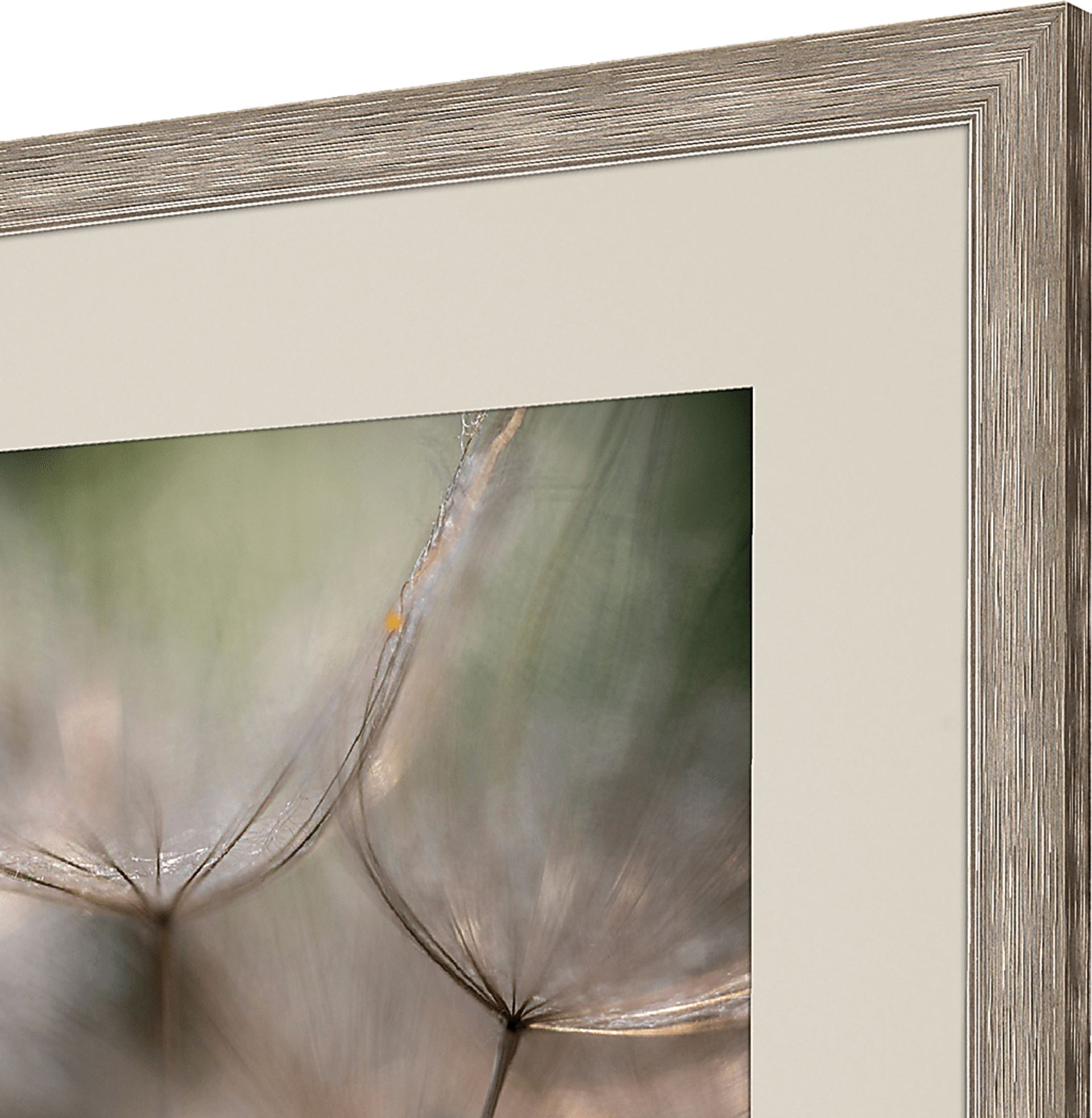 Be Still White Framed Artwork - Image 4