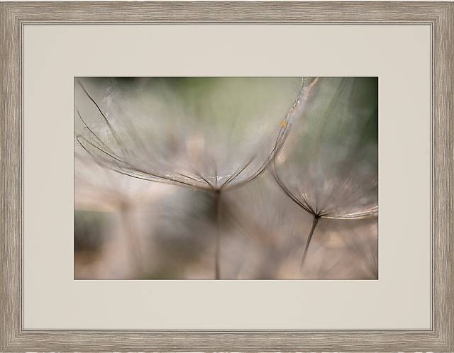 Be Still White Framed Artwork - Thumbnail - Image 1