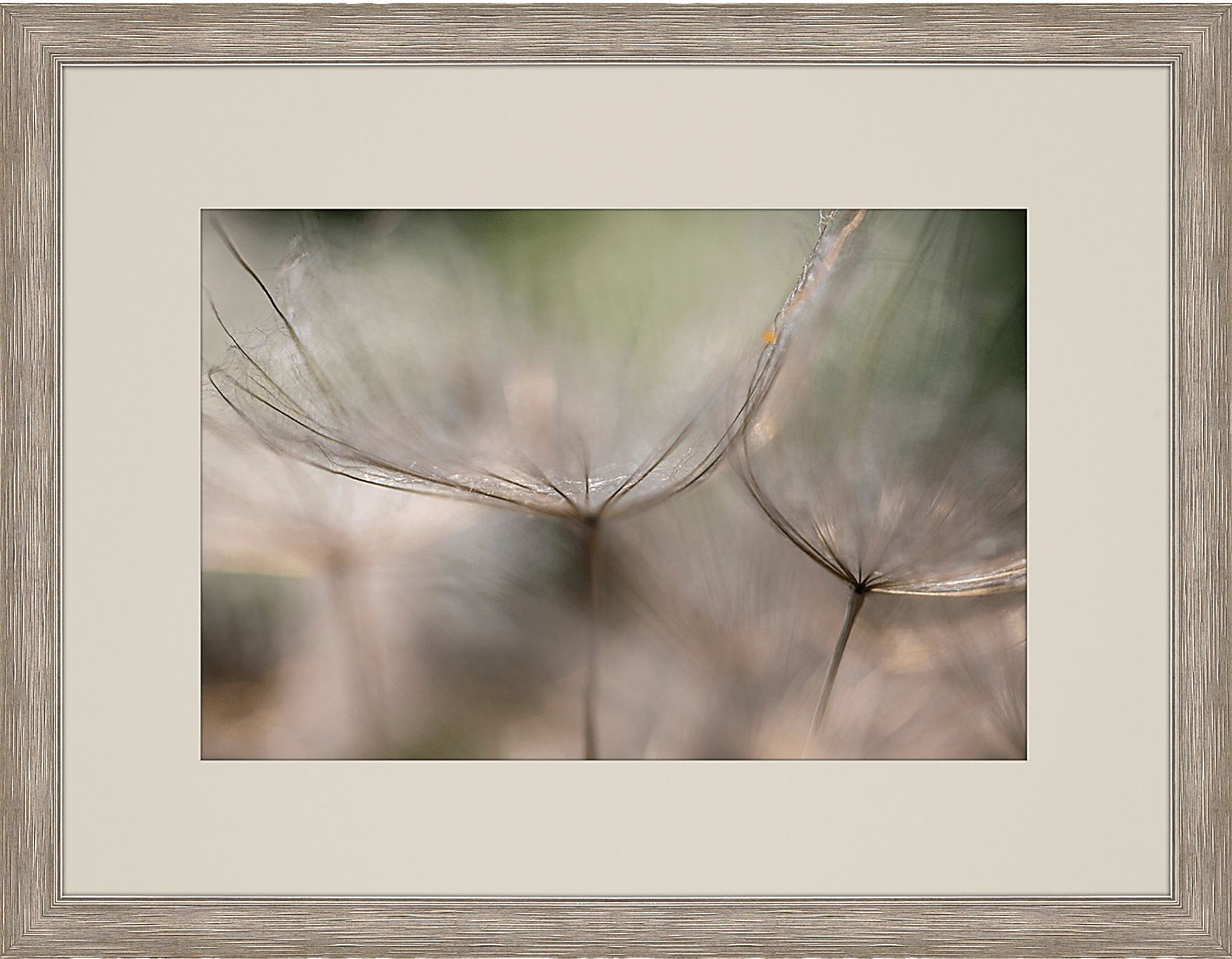 Be Still White Framed Artwork - Image 1