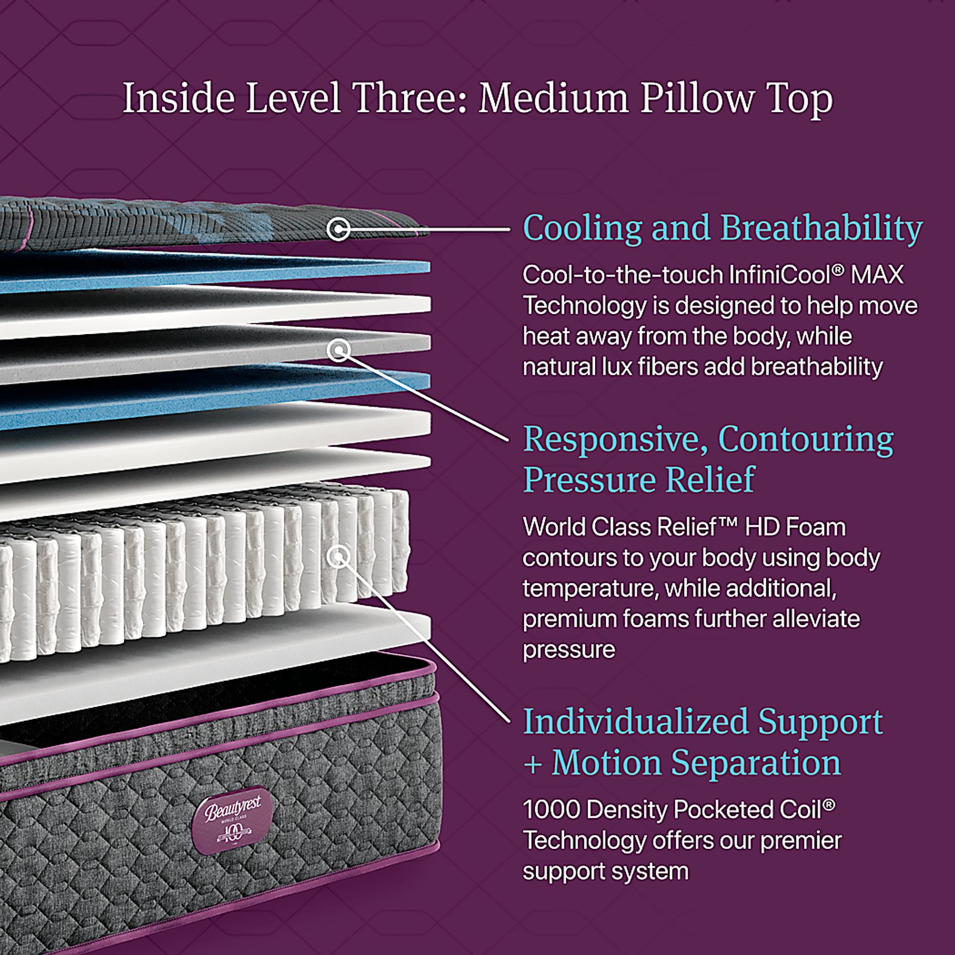 Beautyrest World Class Level Three Medium Pillow Top California King Mattress - Image 8