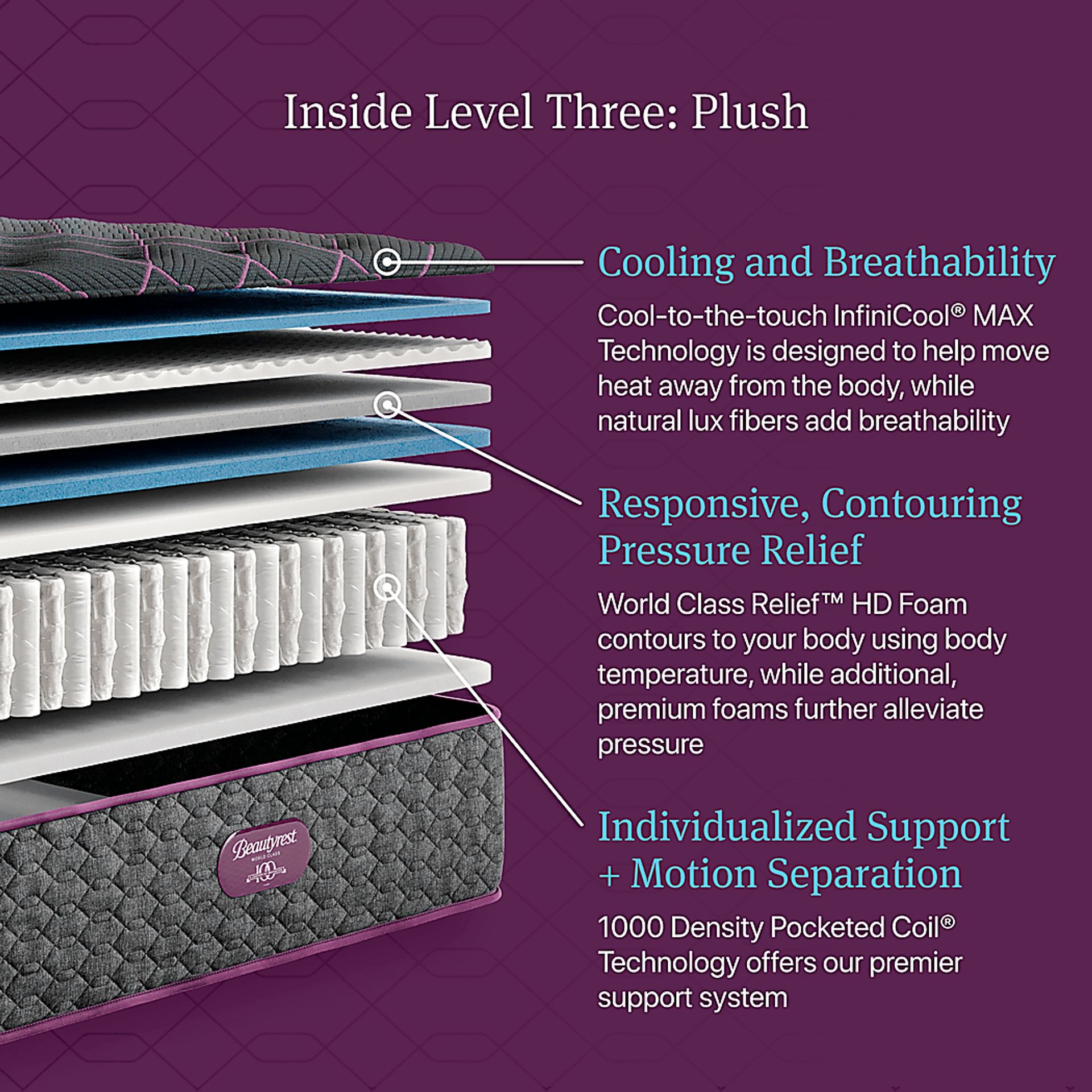Beautyrest World Class Level Three Plush Twin Mattress - Image 8