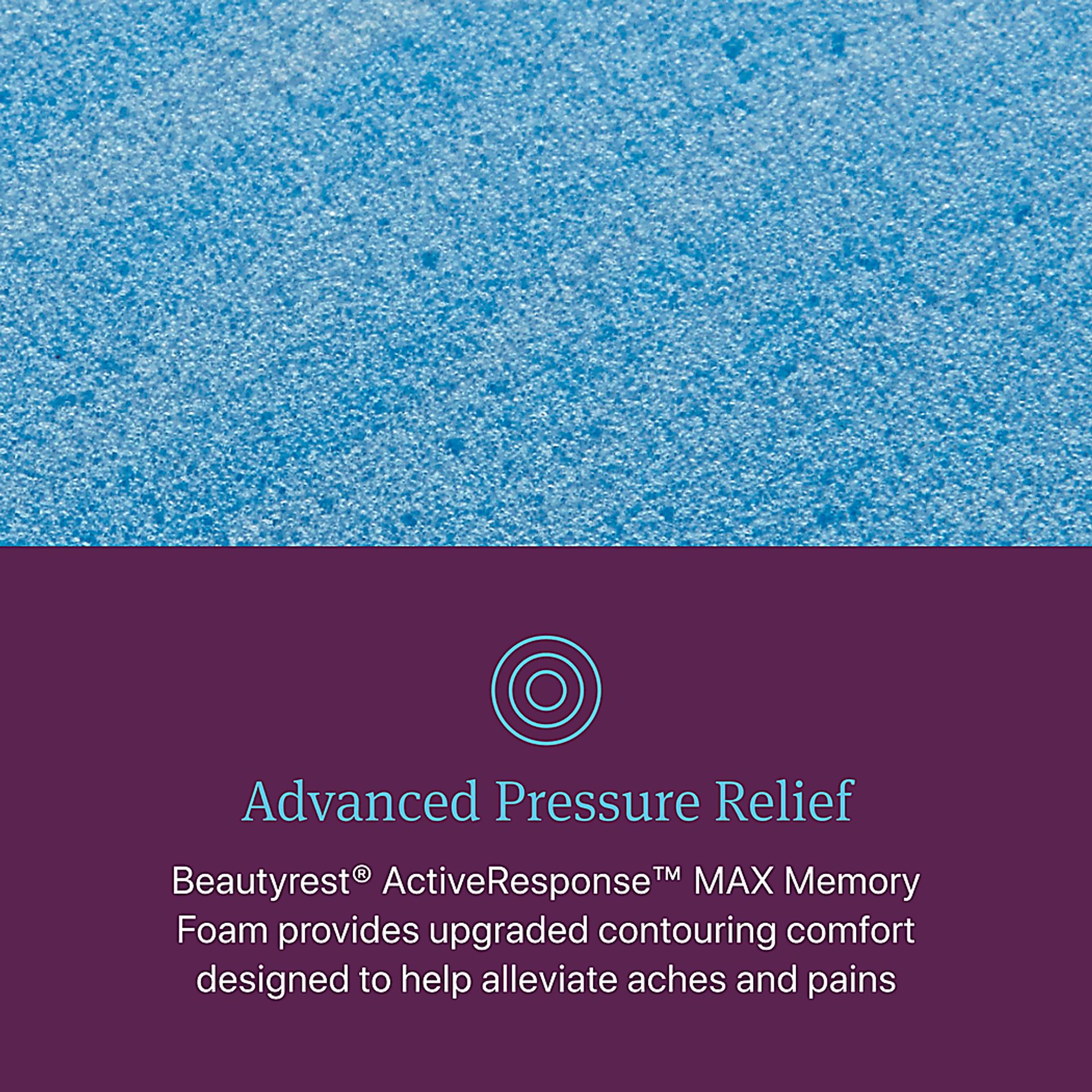 Beautyrest World Class Level Three Plush Twin Mattress - Image 6