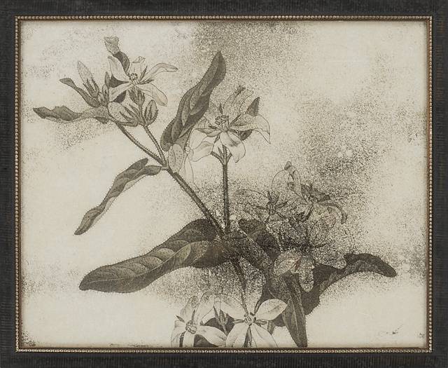 Becknell Gray Artwork - Thumbnail - Image 1