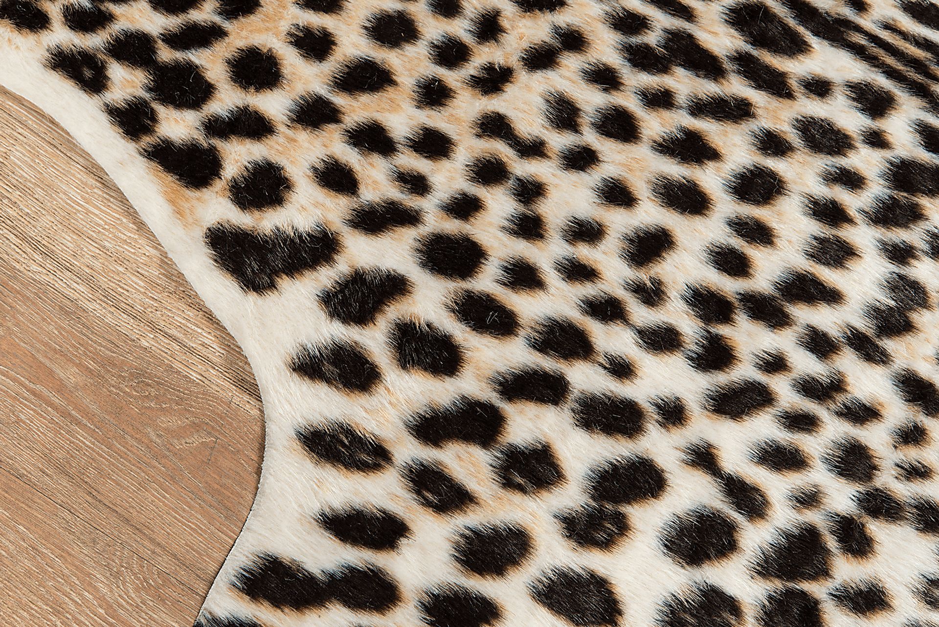 Bellon Black 5'3 x 7'10 Rug - Image 4