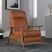 Benbro Push Back Recliner