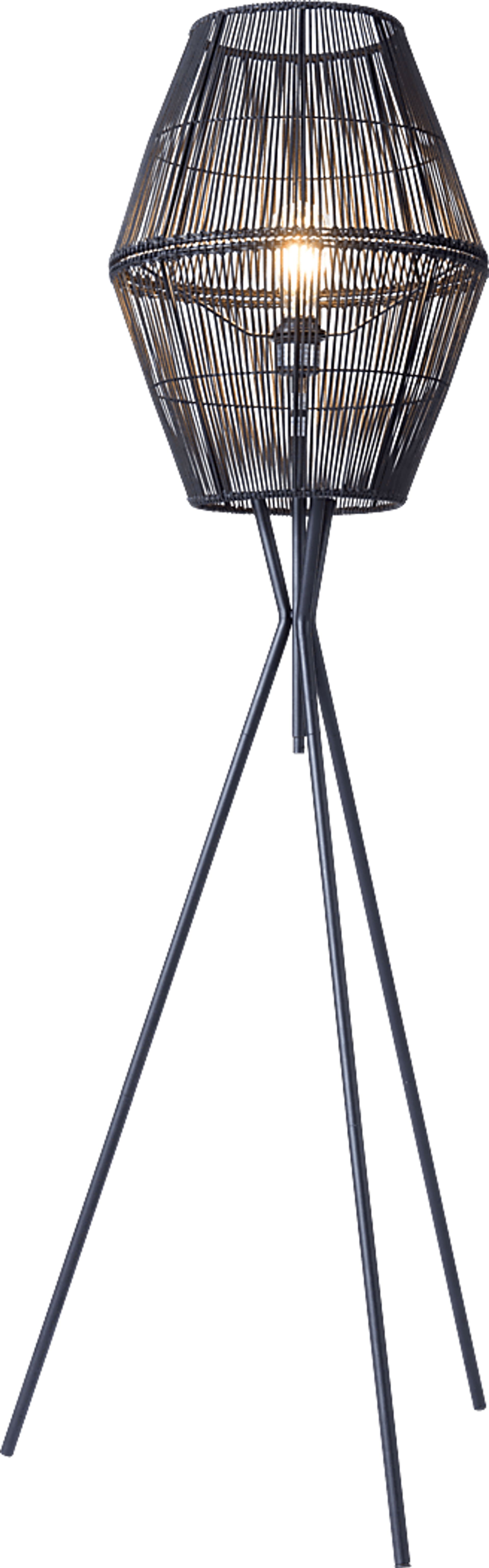Benito Lane Black Floor Lamp - Image 1