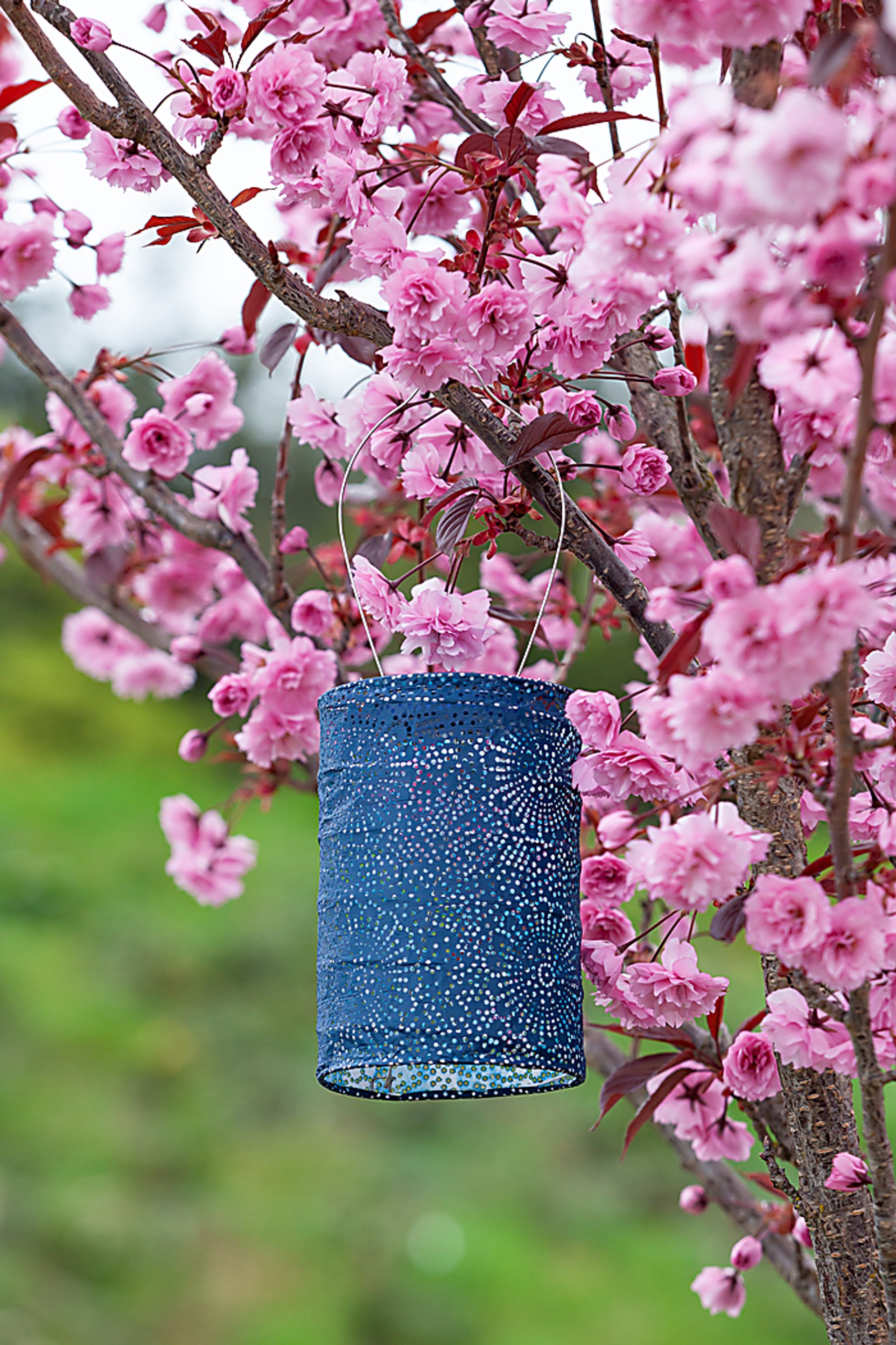 Bento Shade Outdoor Blue Solar Lantern - Image 5