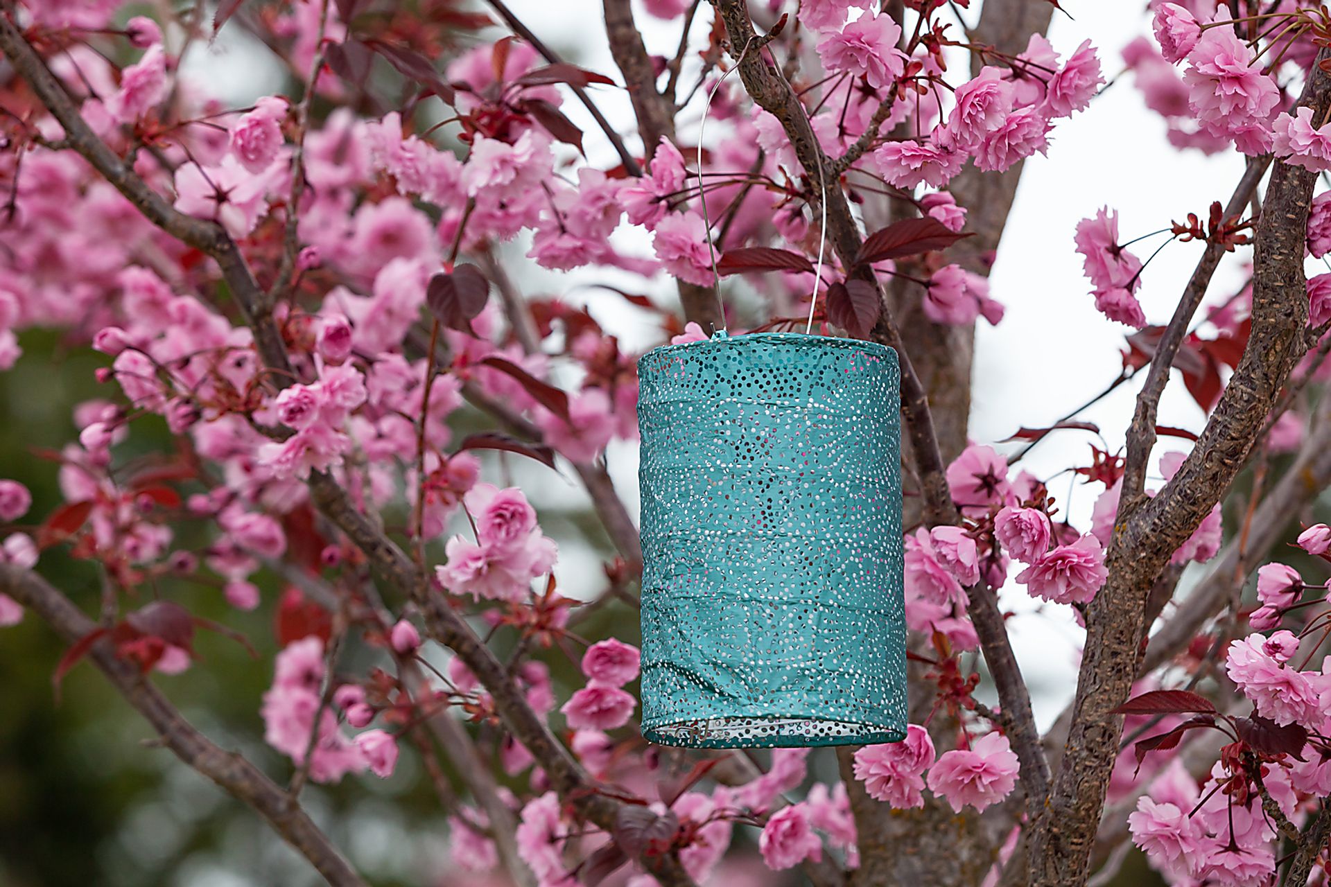 Bento Shade Outdoor Emerald Solar Lantern - Image 4