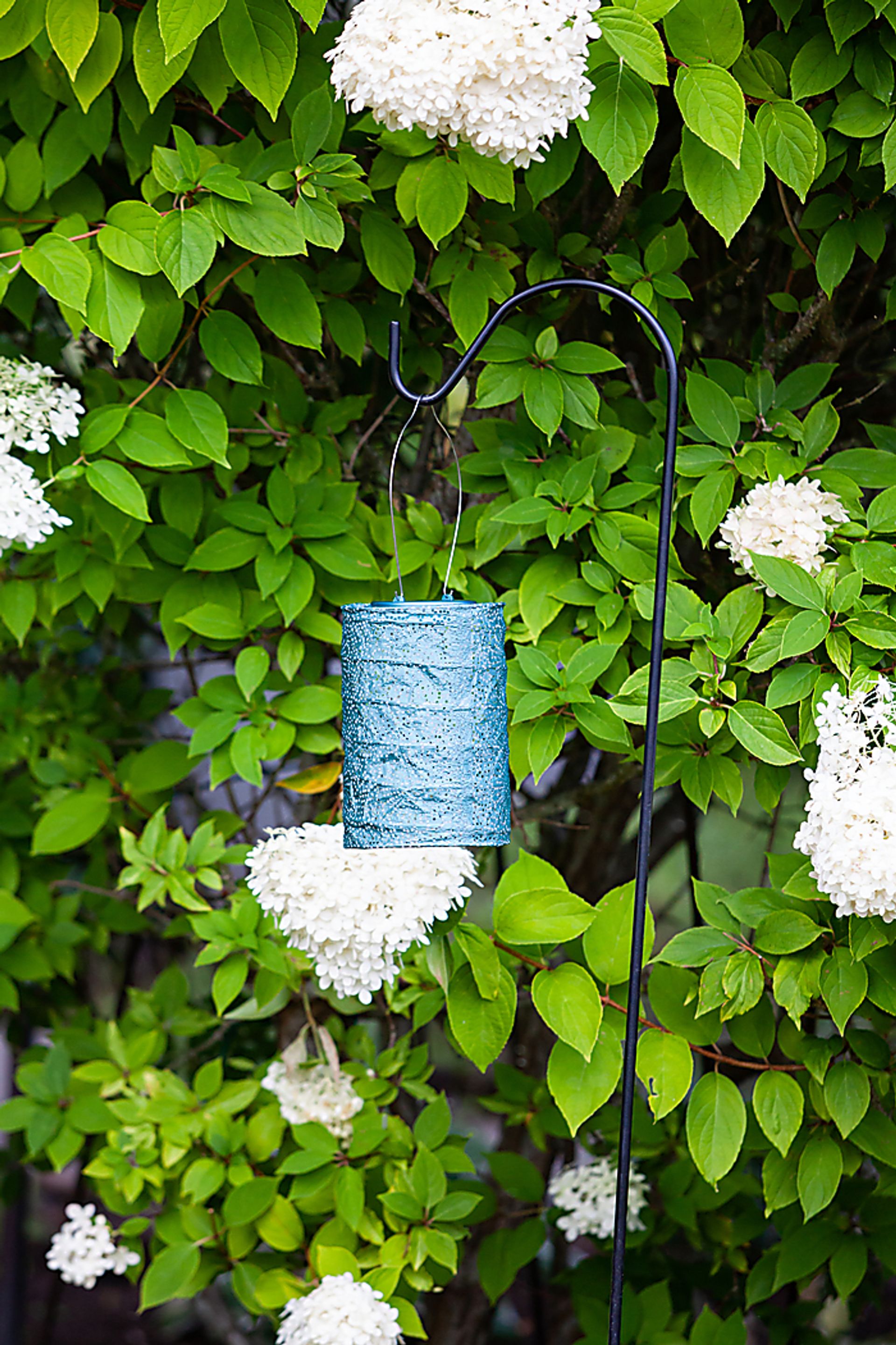 Bento Shade Outdoor Emerald Solar Lantern - Image 5