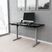Benwin Black Adjustable Desk