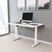 Benwin White Adjustable Desk