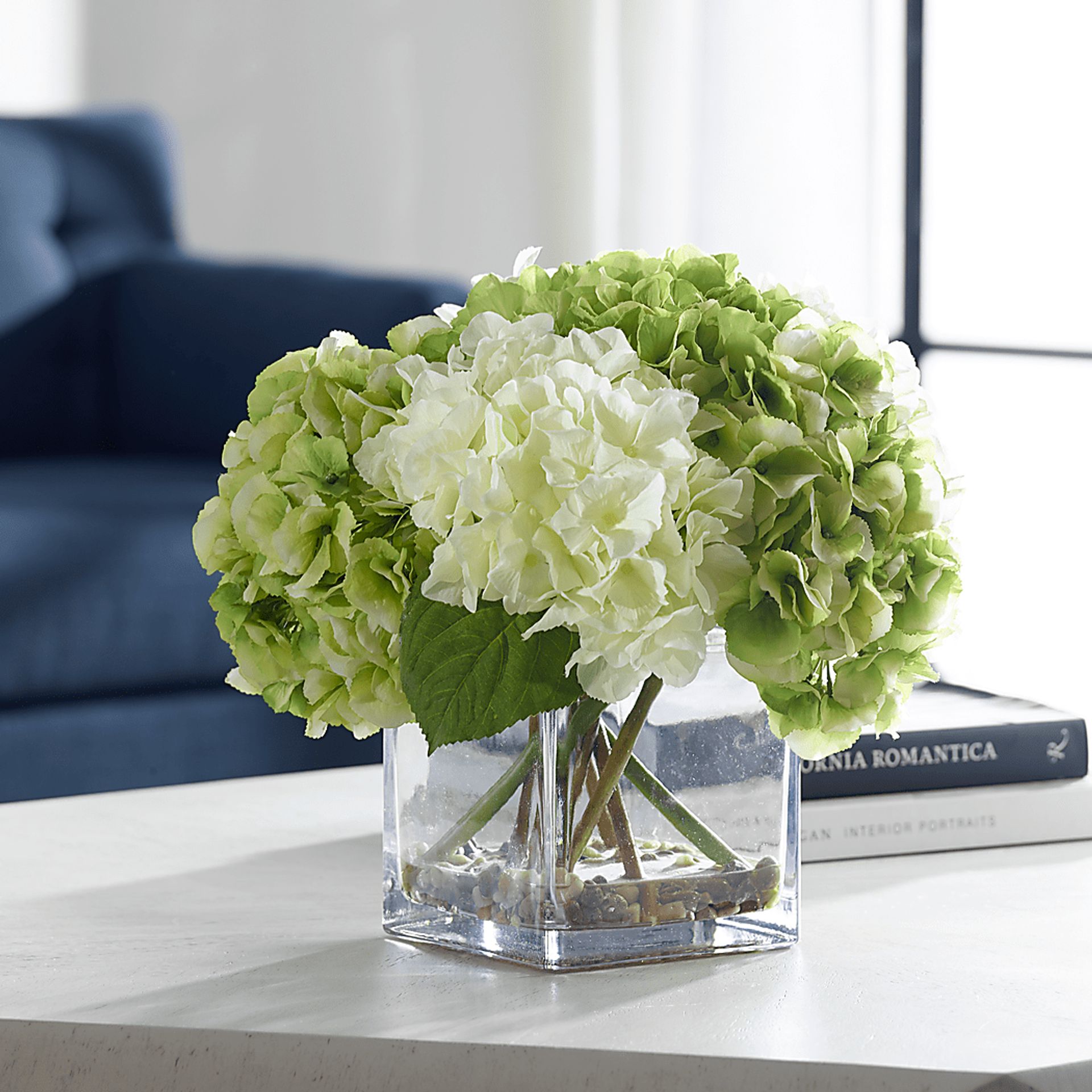 Berl White Plant - Image 2
