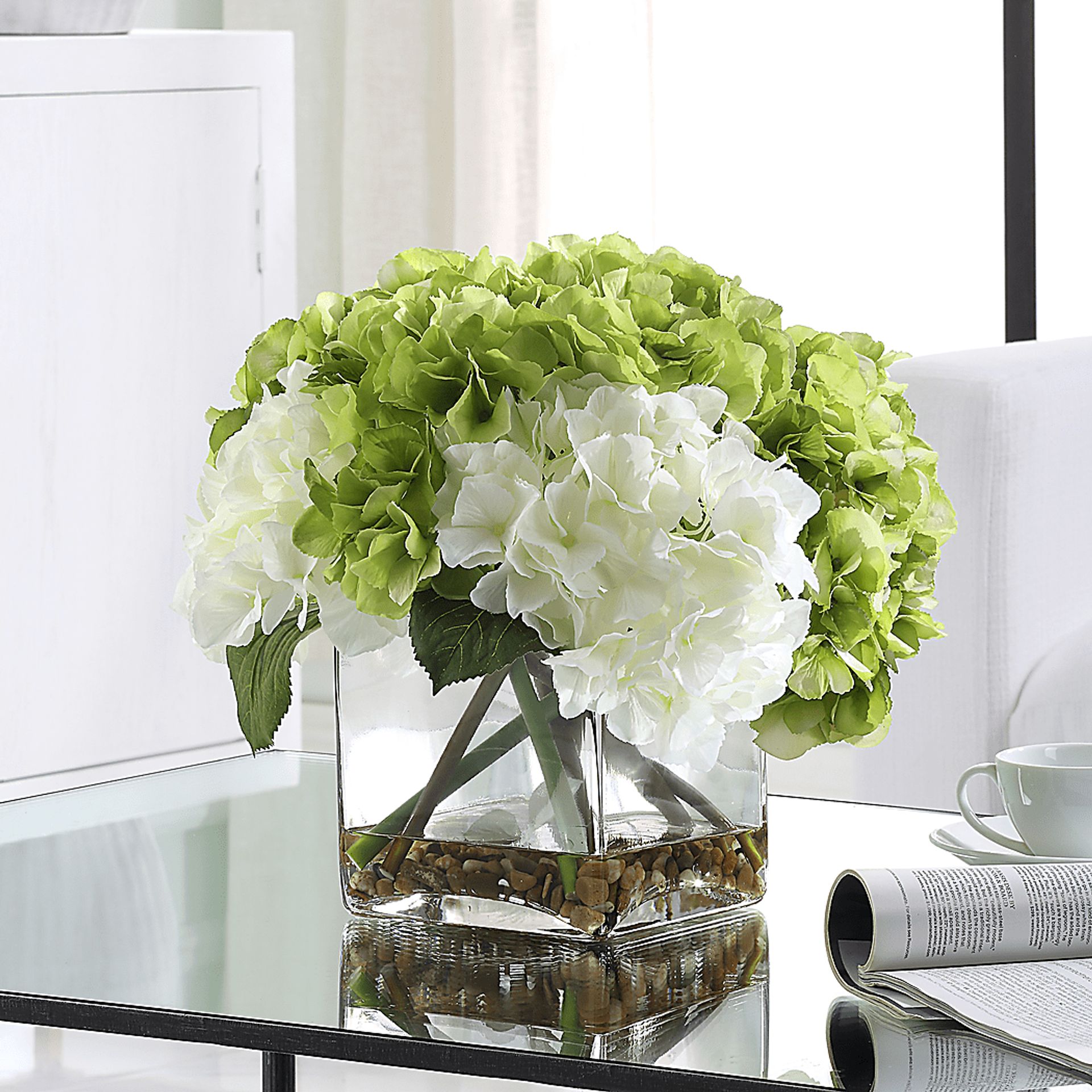 Berl White Plant - Image 3