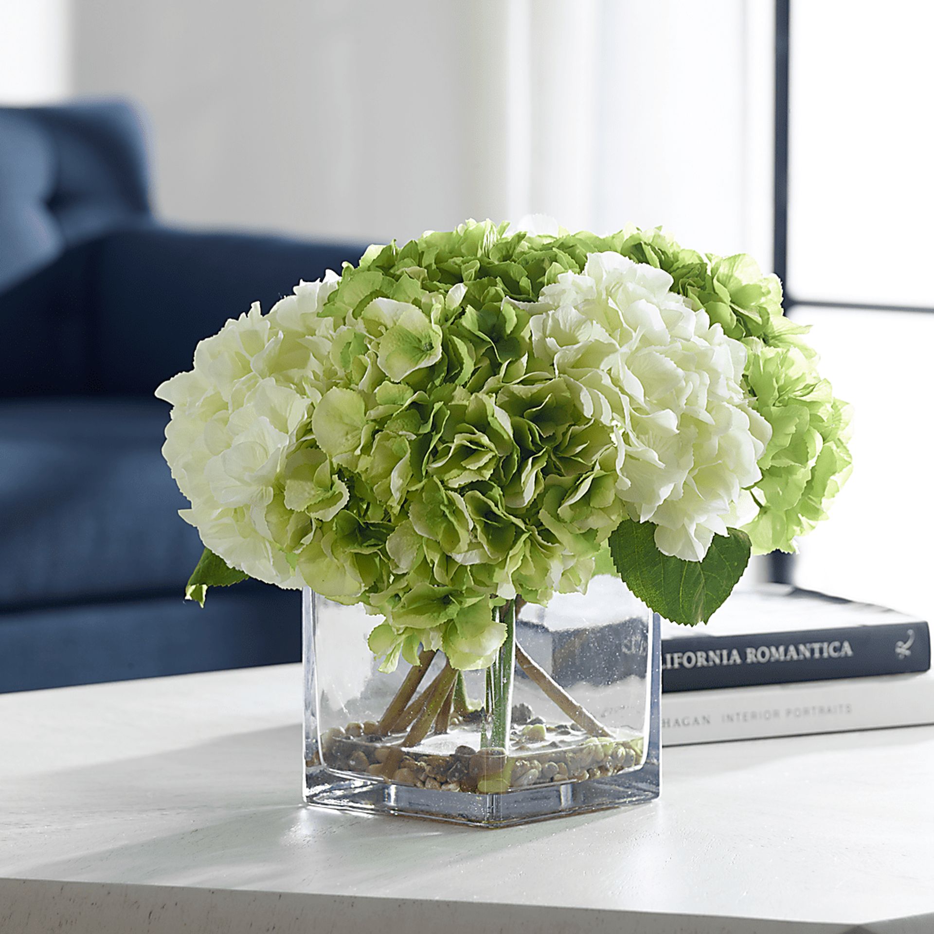 Berl White Plant - Image 4