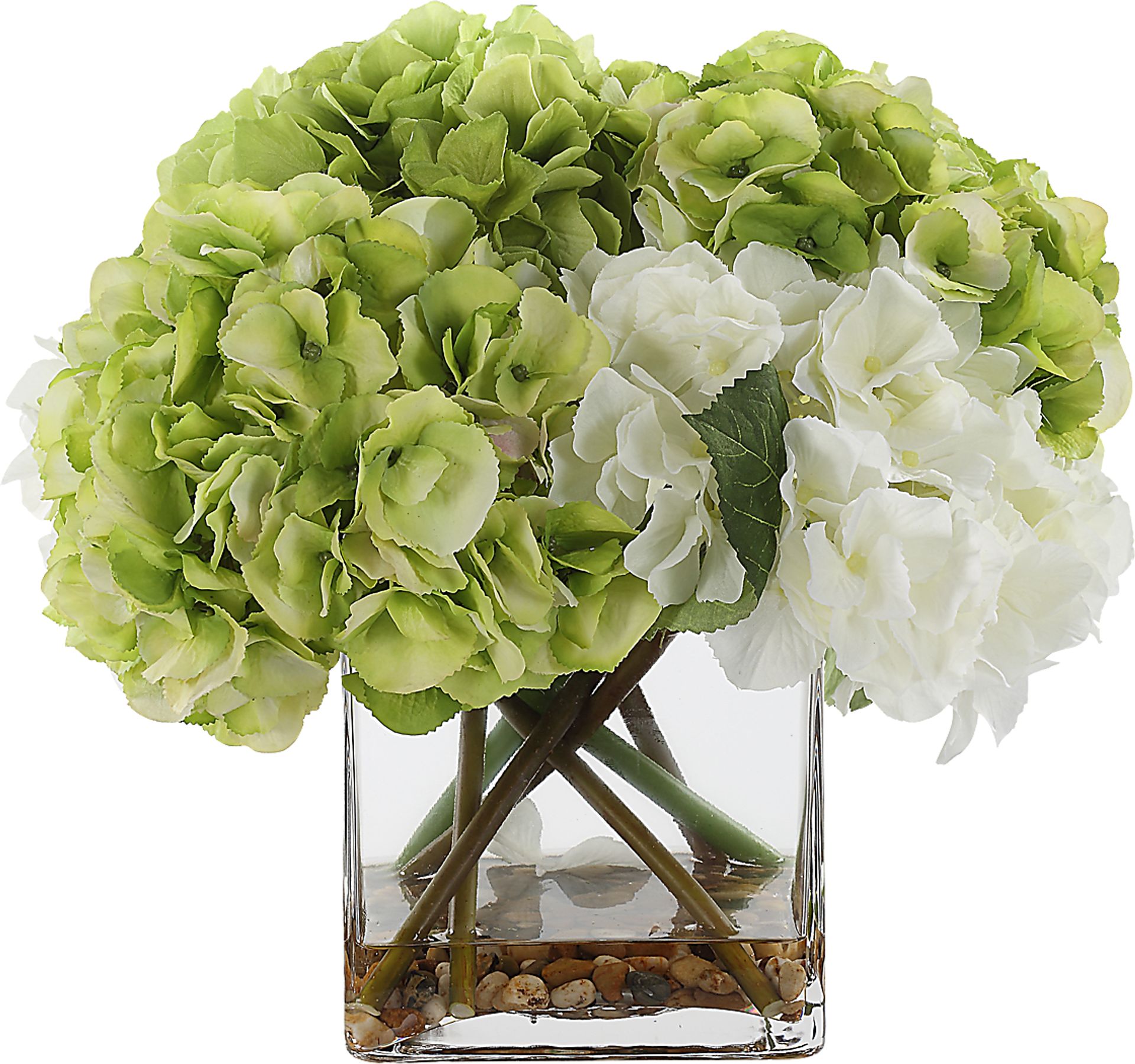 Berl White Plant - Image 5
