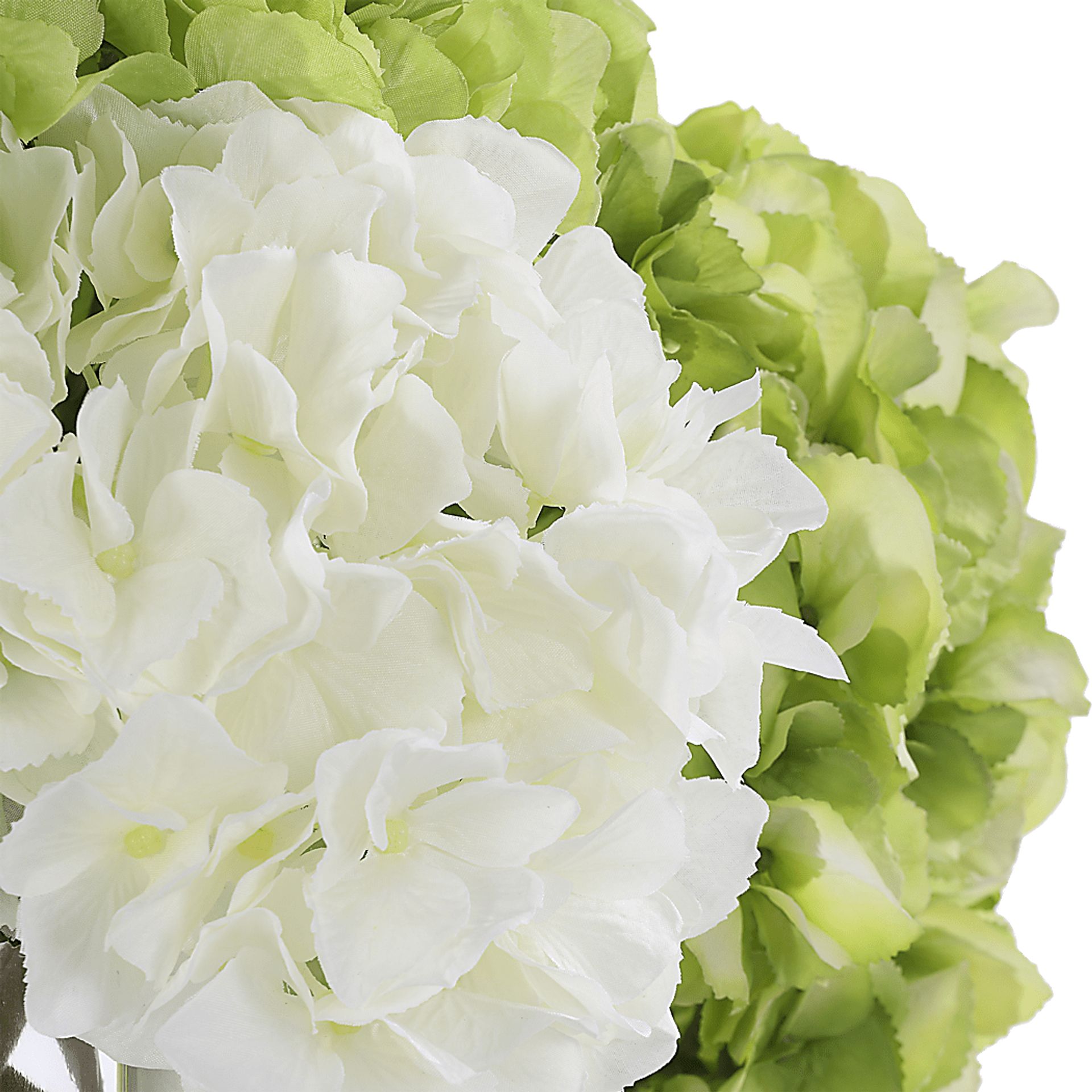 Berl White Plant - Image 6