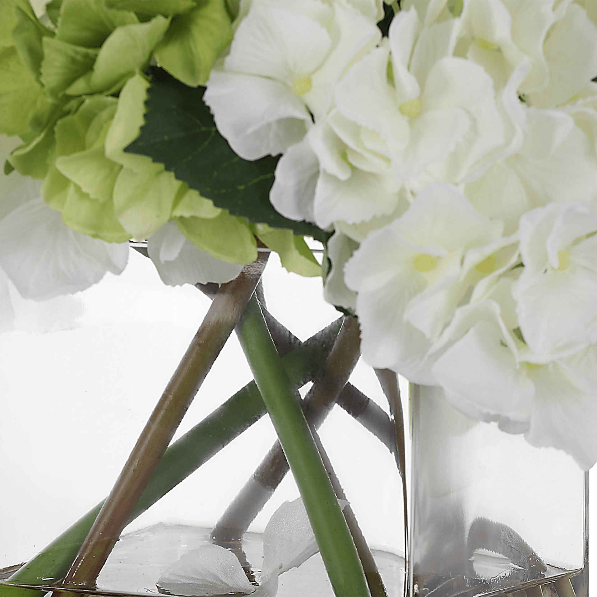 Berl White Plant - Image 7