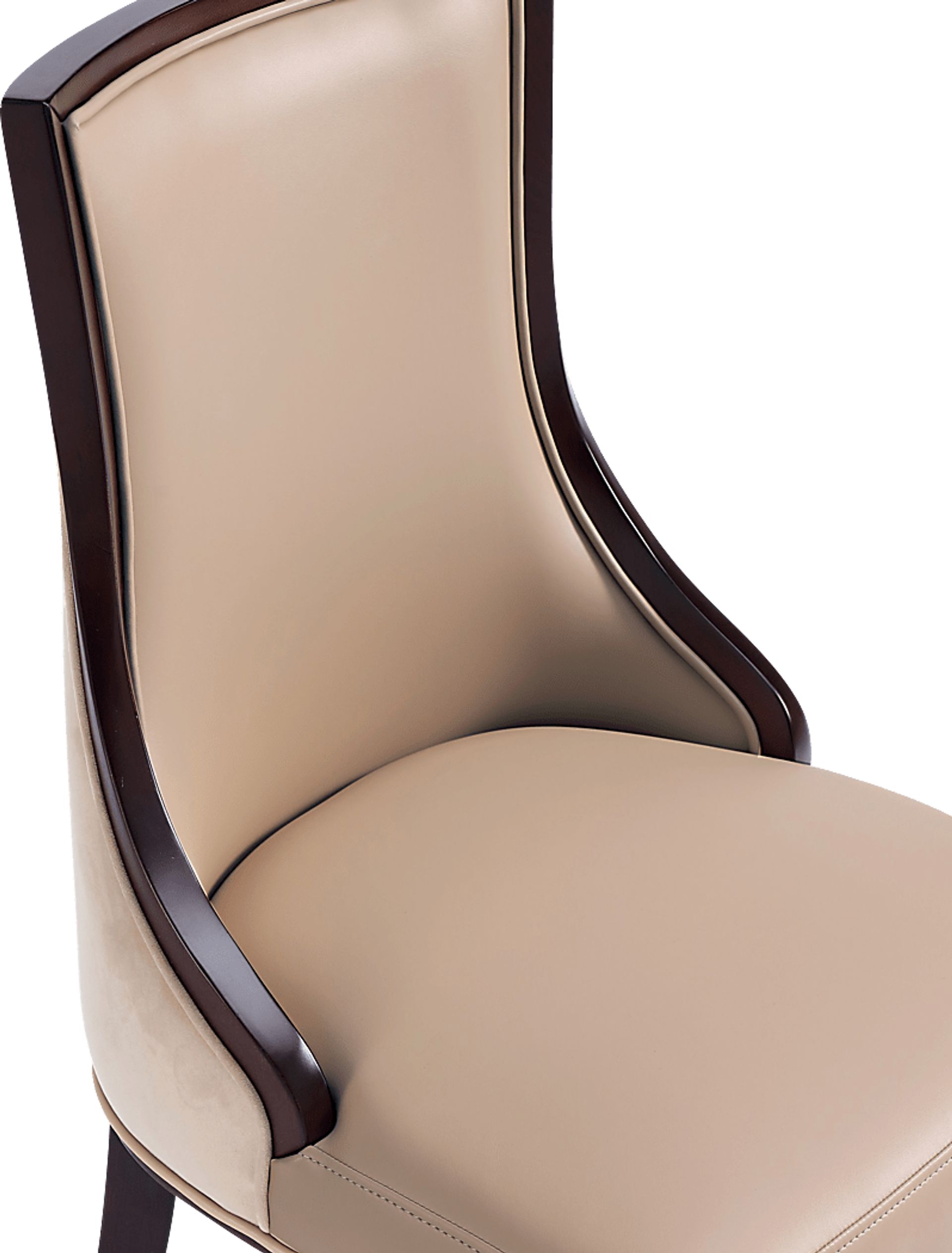 Berryhut Tan Side Chair, Set of 2 - Image 3