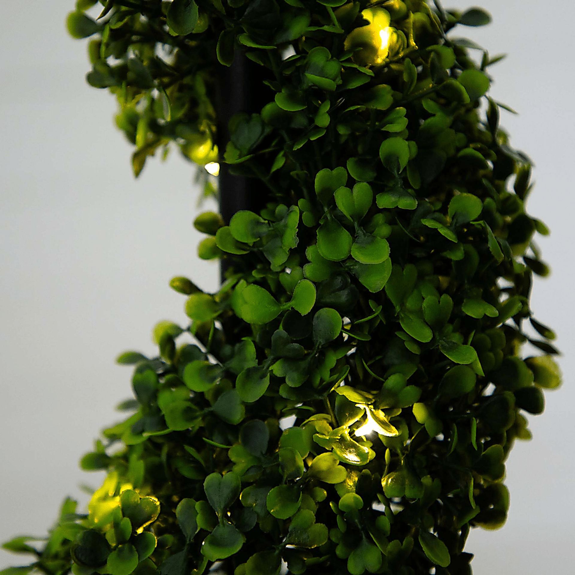 Berteau Green Artificial Boxwood Spiral Tree - Image 4