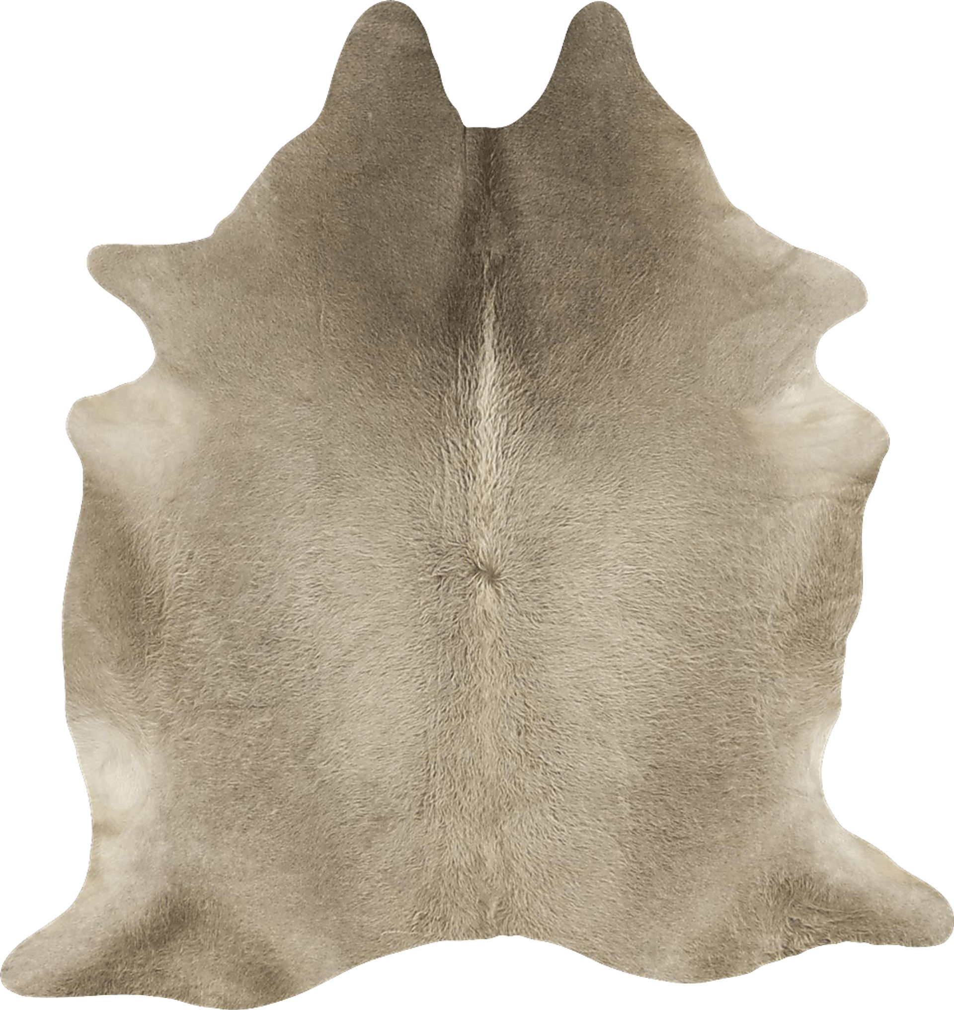 Berton Gray 6' x 5' Rug - Image 1