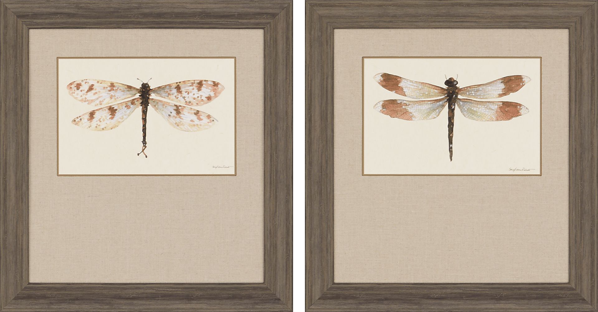 Betswood Brown Set of 2 Artwork - Image 1