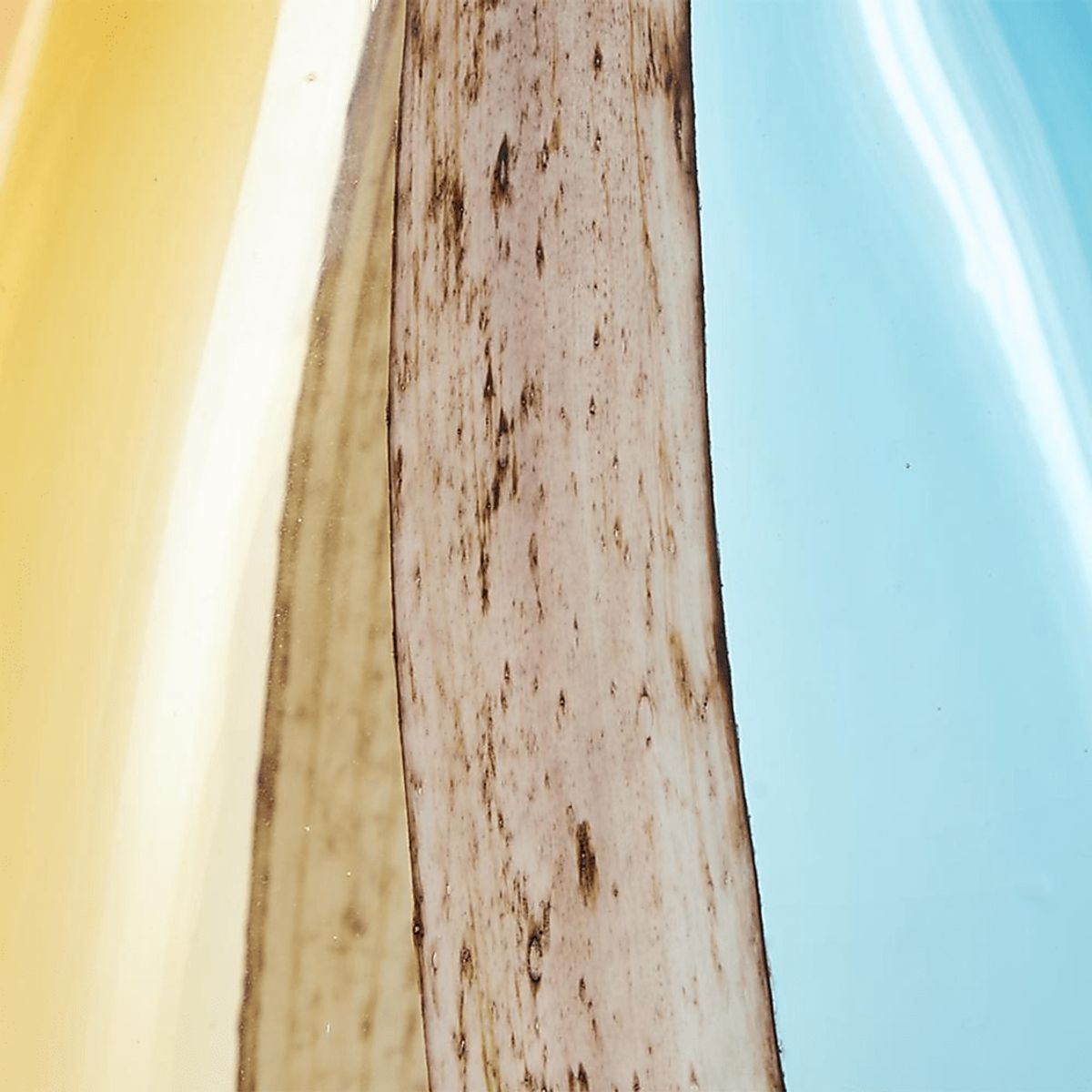 Bidia Multi Vase | Rooms to Go