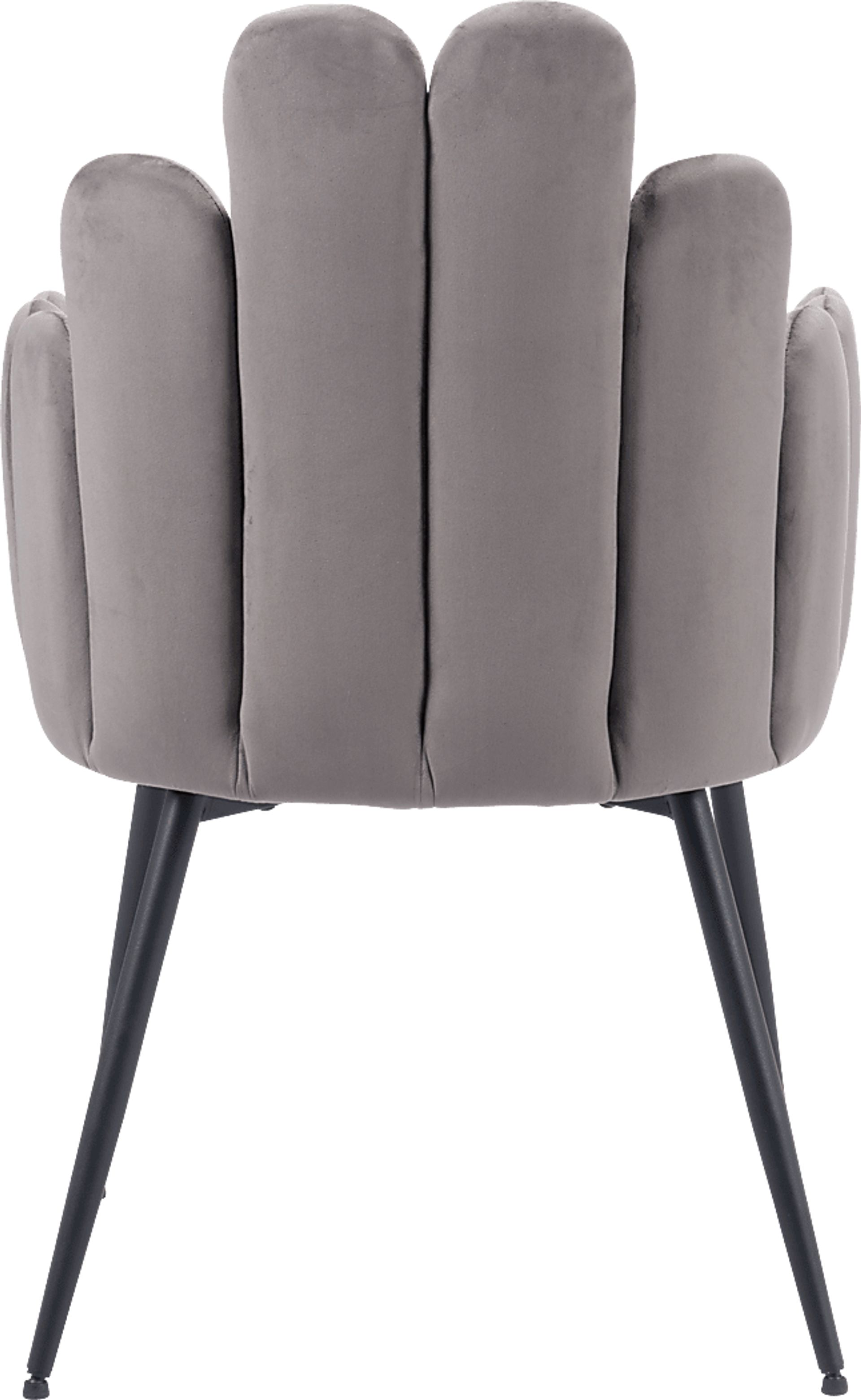 Bielo Gray Side Chair, Set of 2 - Image 6
