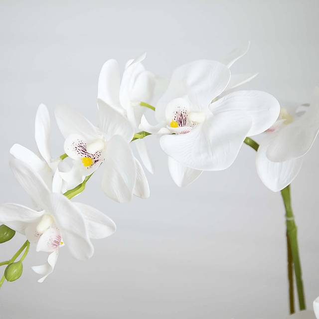 Bierer White Silk Floral - Thumbnail - Image 3