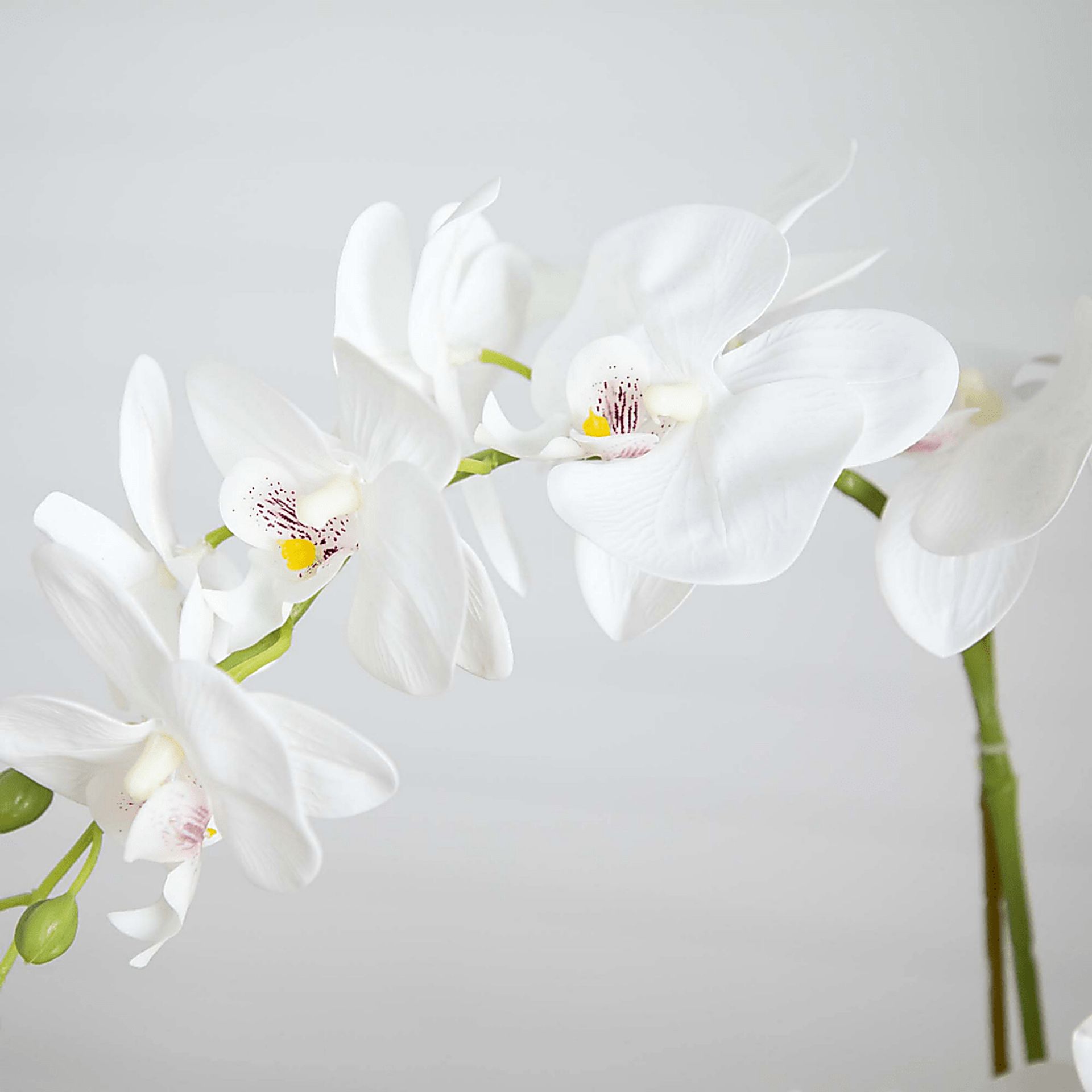 Bierer White Silk Floral - Image 3