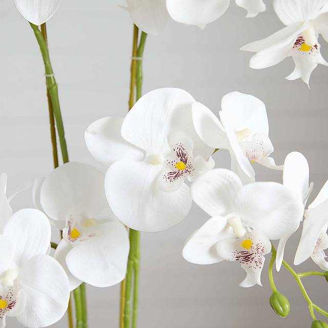 Bierer White Silk Floral - Thumbnail - Image 4
