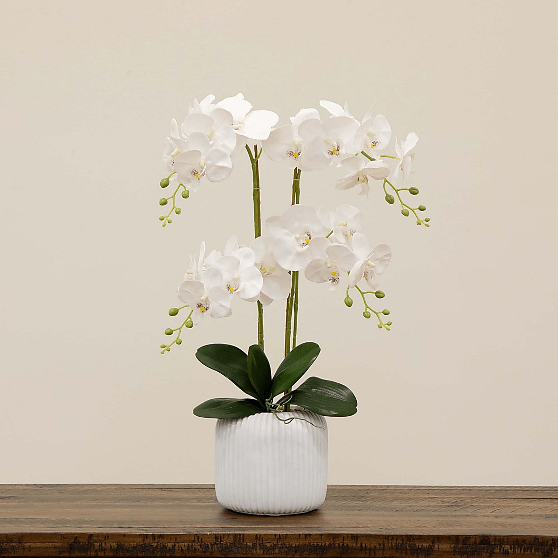 Bierer White Silk Floral - Image 5