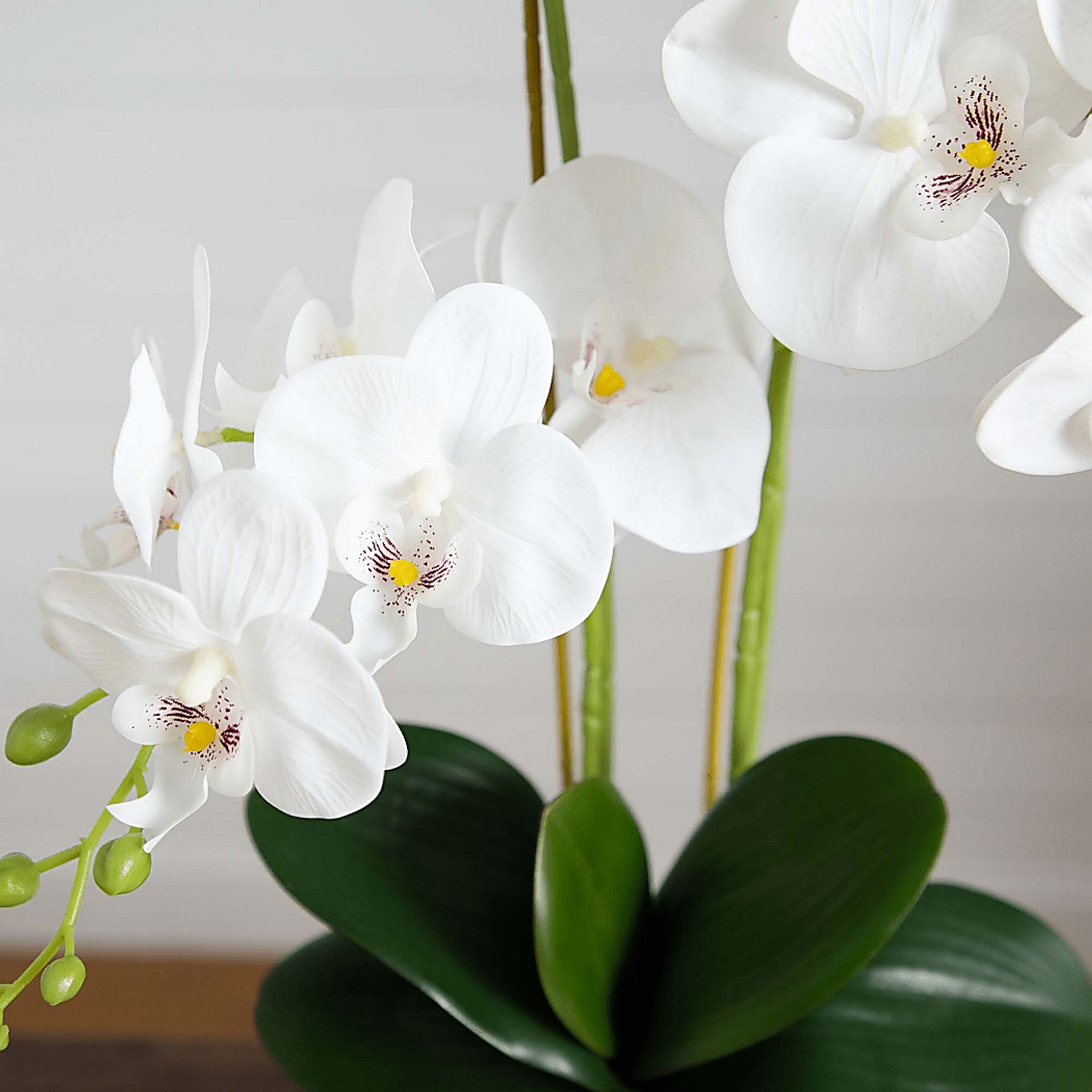 Bierer White Silk Floral - Image 6