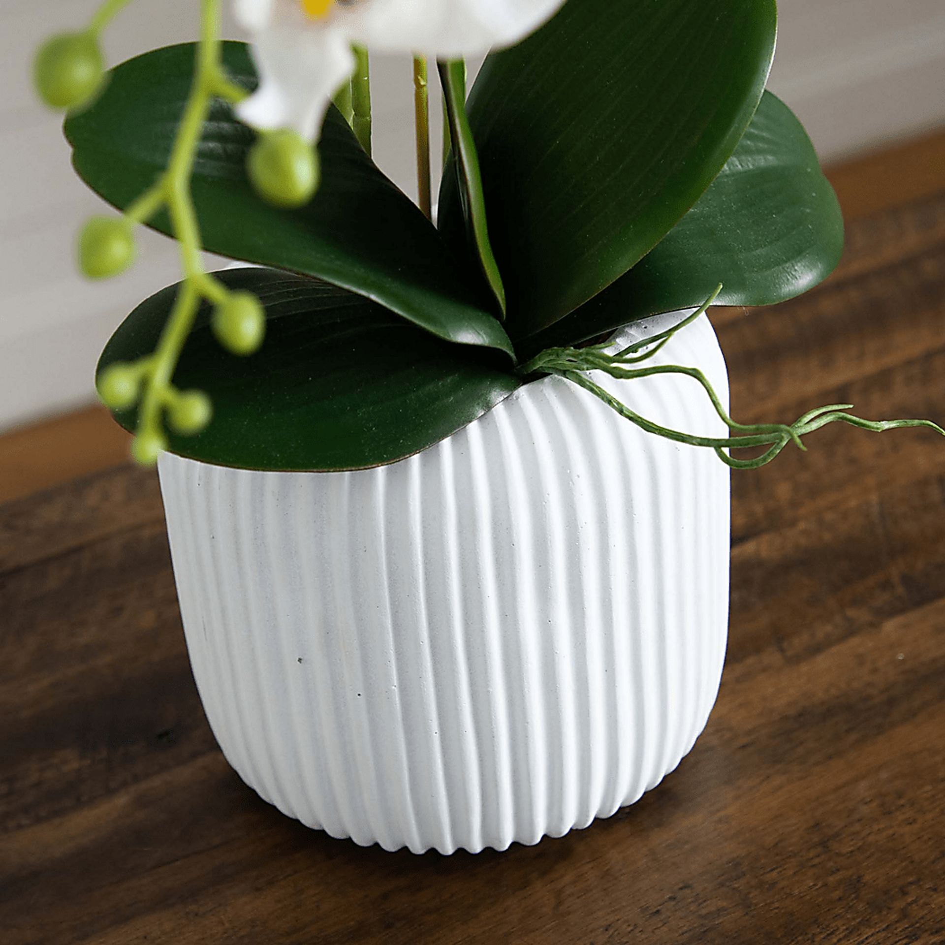 Bierer White Silk Floral - Image 7